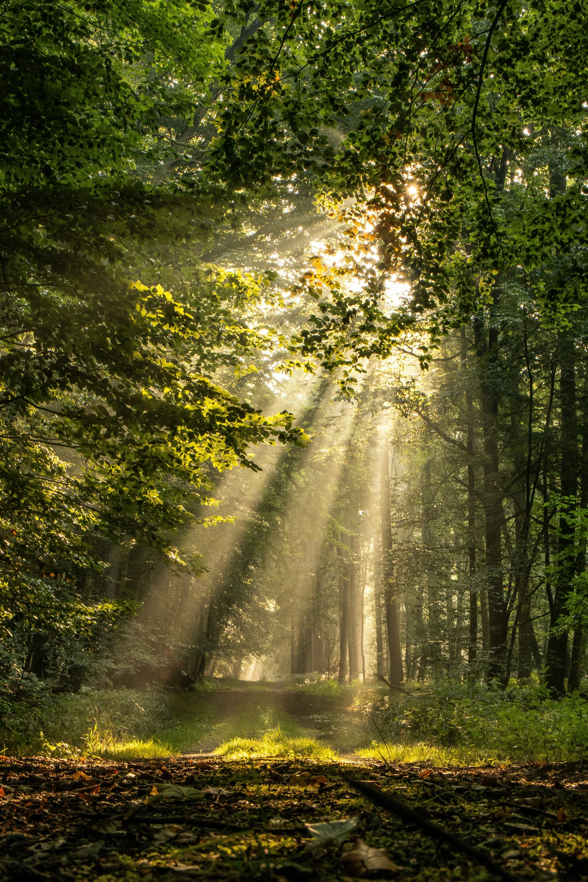 Grieving the Life You Imagined: Making Space for Unmet Expectations