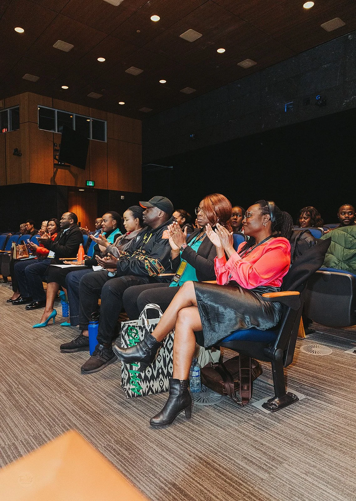 Audience in theatre clapping 1.jpg