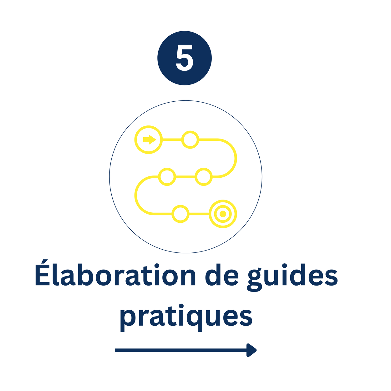 Transformer les connaissances en guides, outils et cadres pratiques qui aident les organisations à renforcer les mesures de soutien à l’entrepreneuriat.