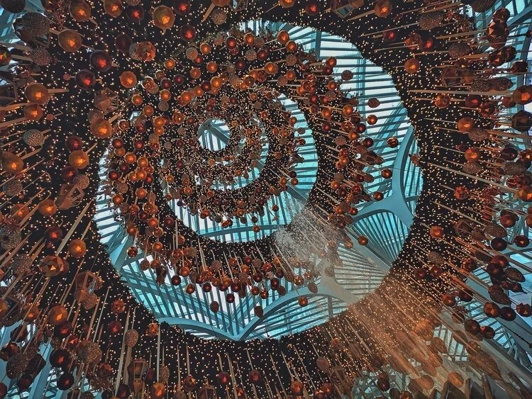 Evolutionary Expression