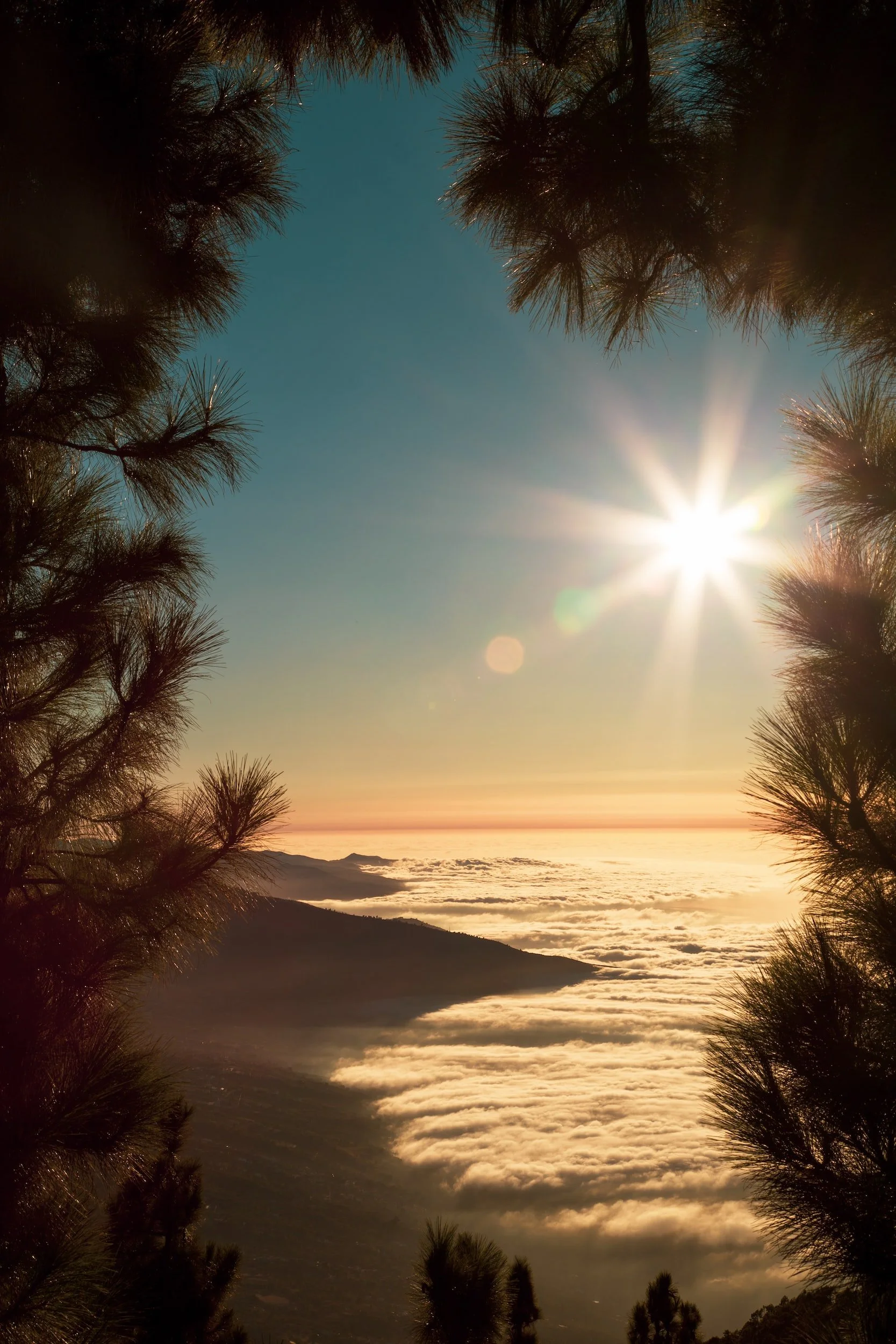 Life is the Greatest Luxury 💎