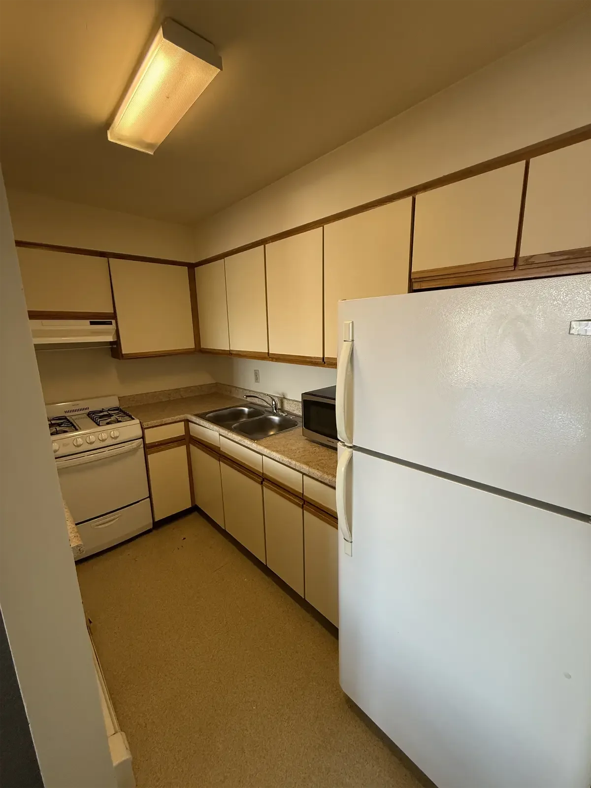 401-Eddy-st-ithaca-ny-Kitchen IMG_7137.webp