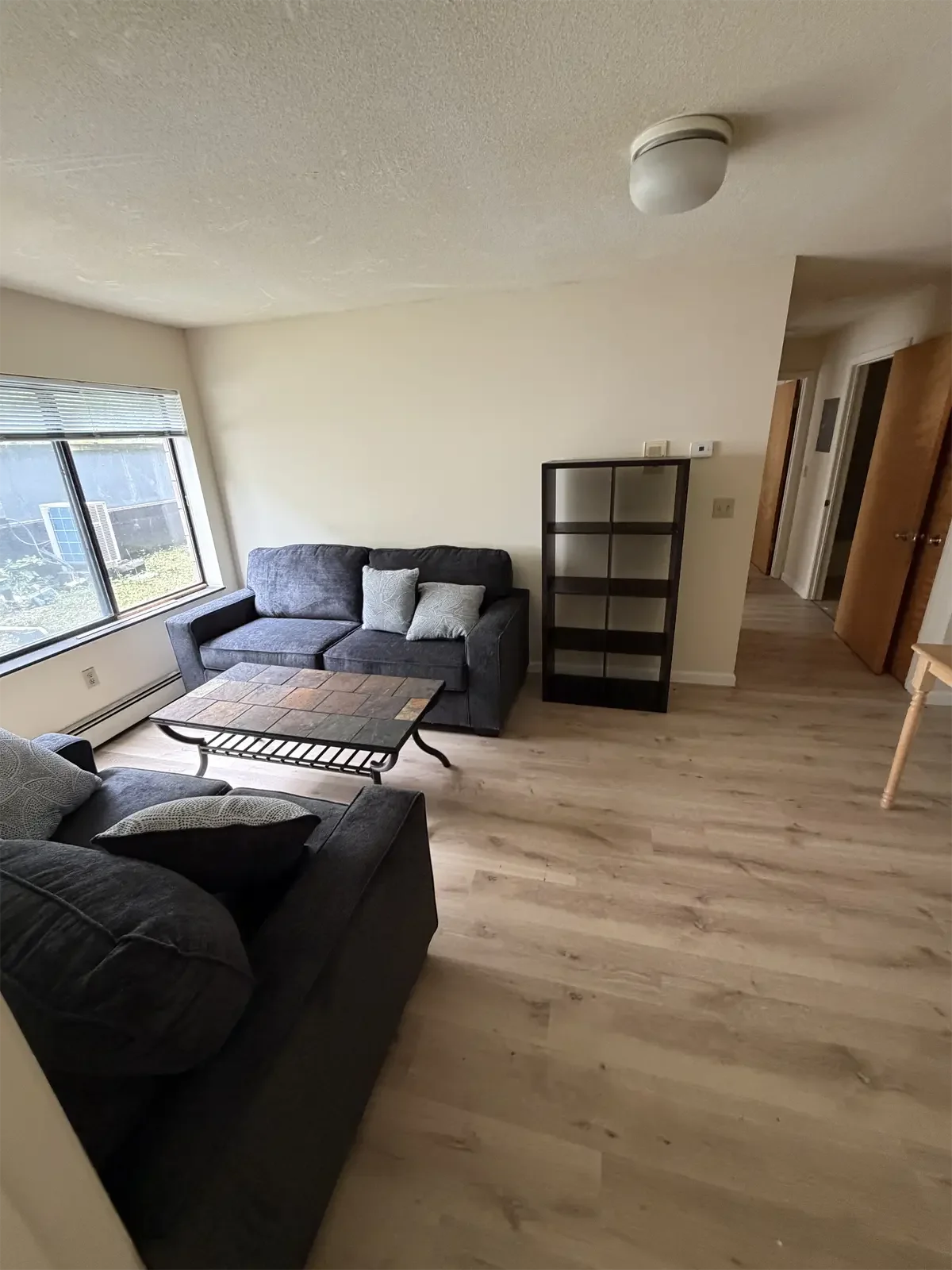 401-Eddy-st-ithaca-ny-livingroom-IMG_0004.webp