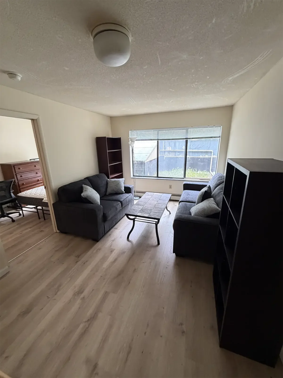 401-Eddy-st-ithaca-ny-livingroom-IMG_0003.webp