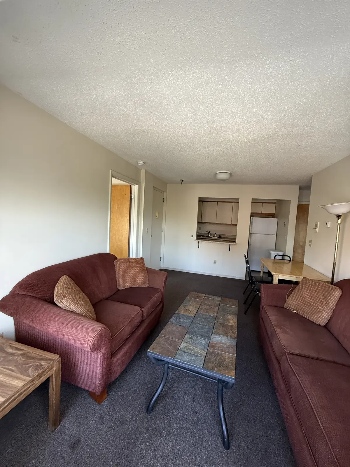 401-Eddy-st-ithaca-ny-livingroom--IMG_7124.webp