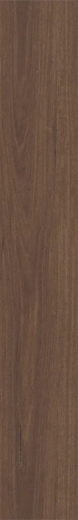 MESA BROWN_1.jpg