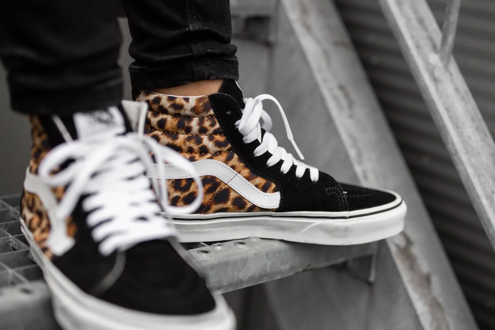 Baskets montantes léopard - Vans