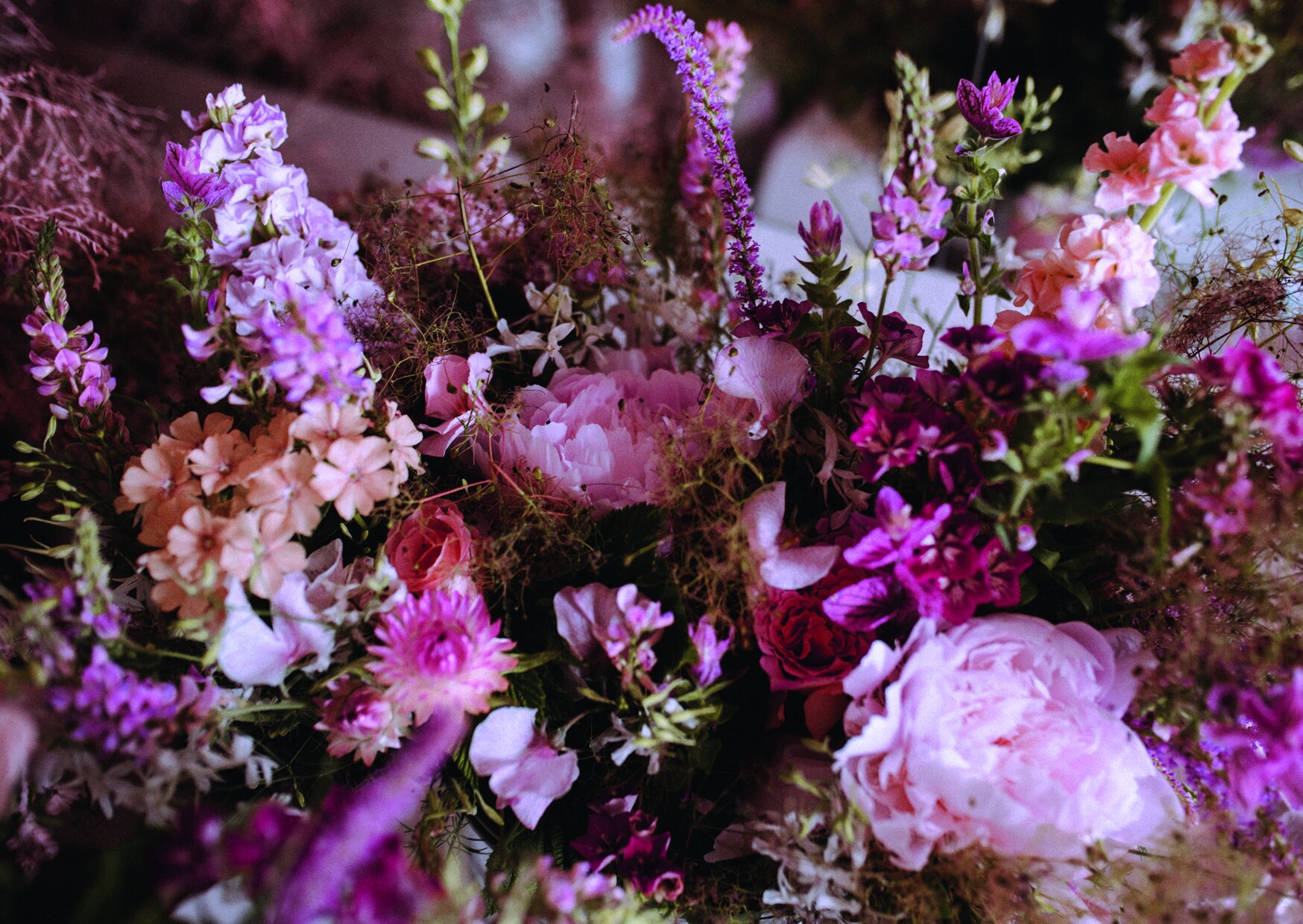 Minuit-Sauvage-Flowers.jpg