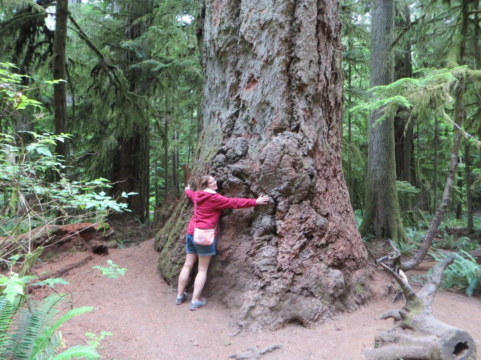 Angie tree hugger.JPG