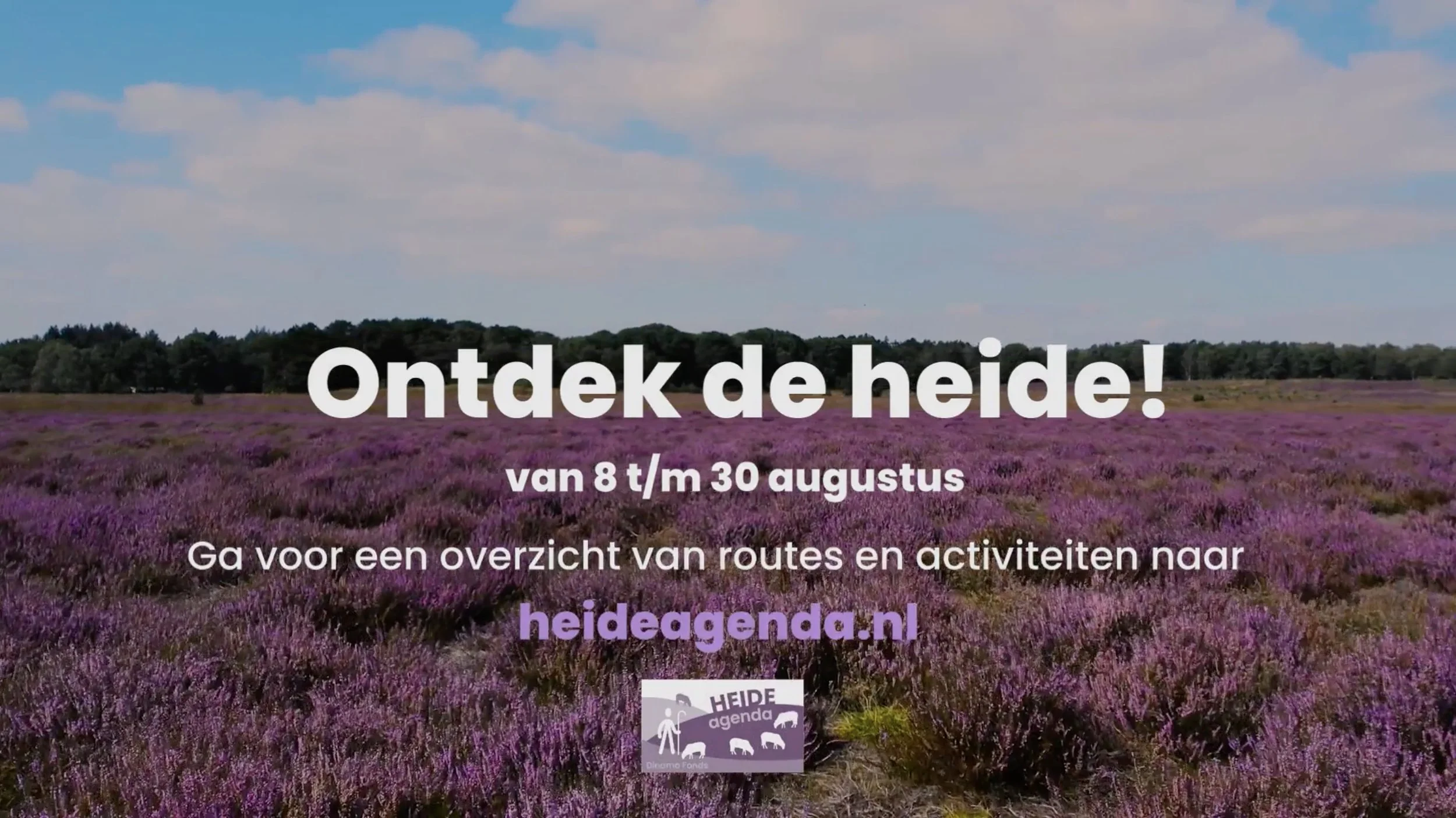 Still_Ontdek_de_heide_1.jpg