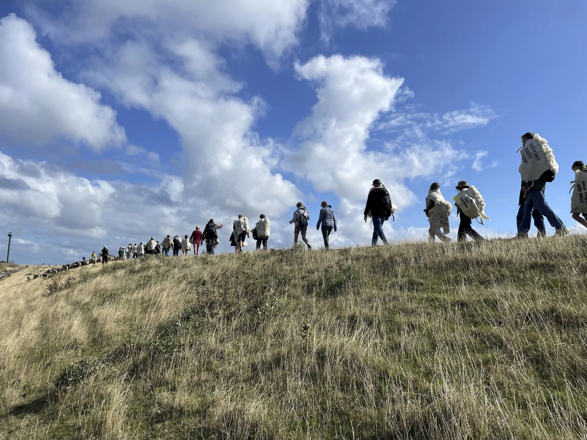 Van Texel naar Brussel: Wool March Brussels 2026 is onderweg!