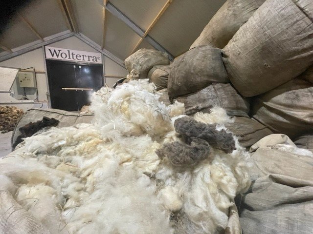 Wolbalen bij Wolterra.jpg