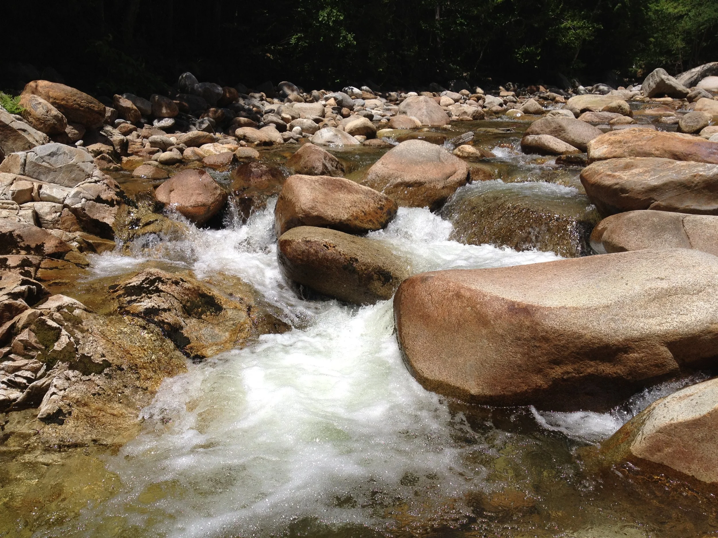 NH July 27 - 2012 013.JPG