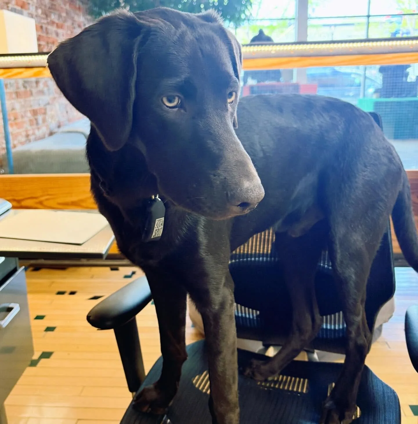 Reminder⚡️
We start our weekend at 3pm on Fridays🍻
You should do the same 💫