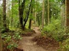 A Short Hike