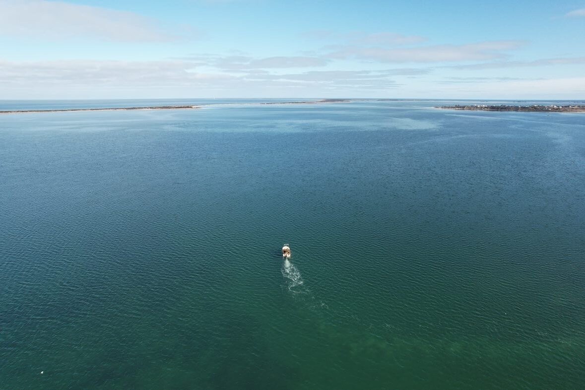 The Lone Scalloper // The harbor is pretty quiet this time of year but a few fishermen still head out each day for their five bushels of bay scallops. It&rsquo;s a long, chilly season so some sunshine this week was a treat! 

📸 @lydonroofing