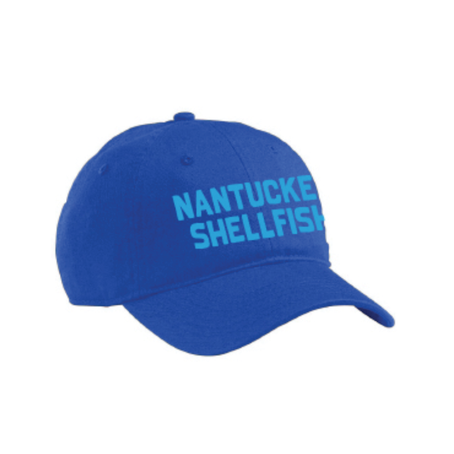 Eco Cotton NS Cap / Blue