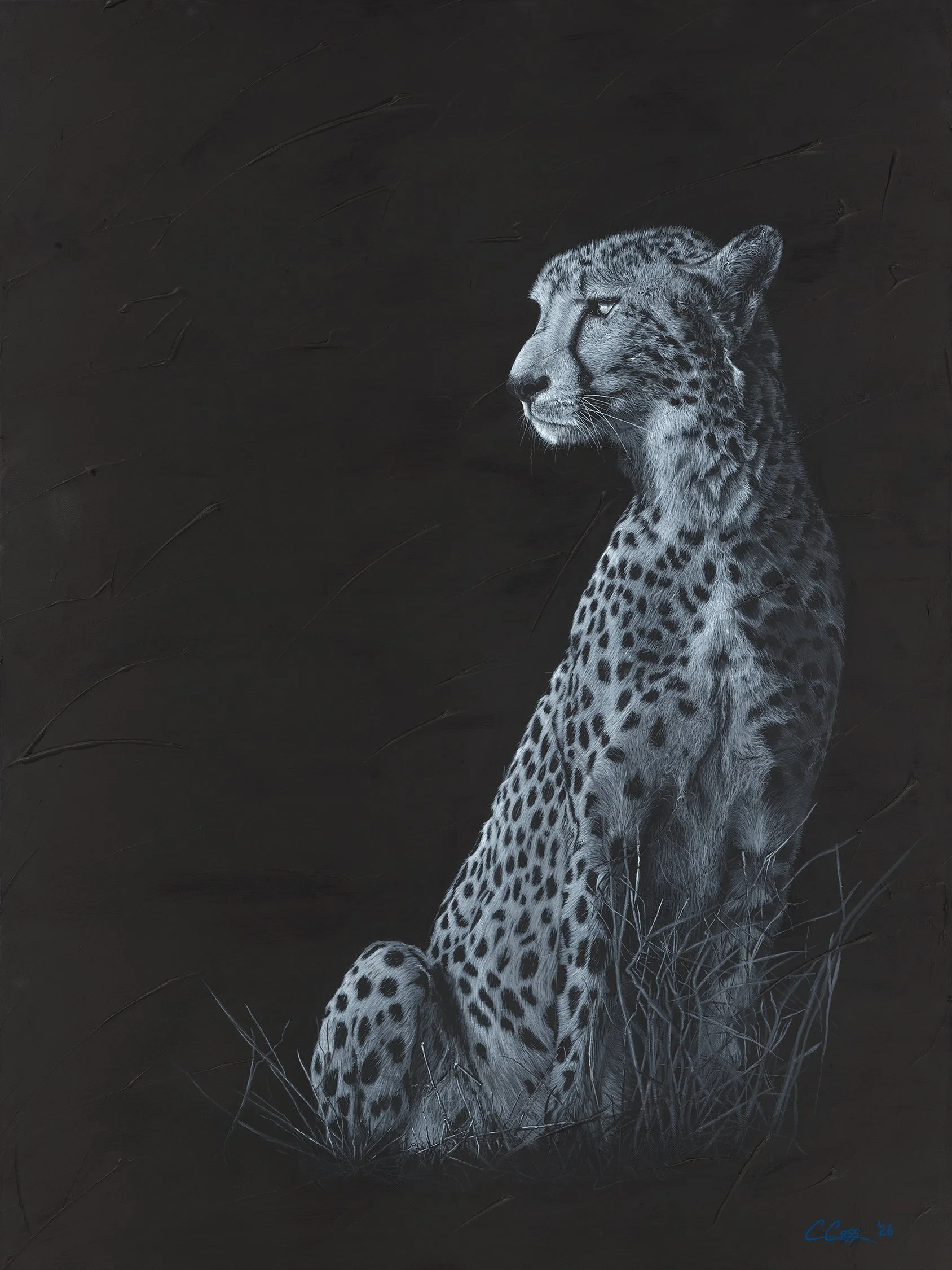 Cass_Cody_Stillness_629298.2321641.jpg