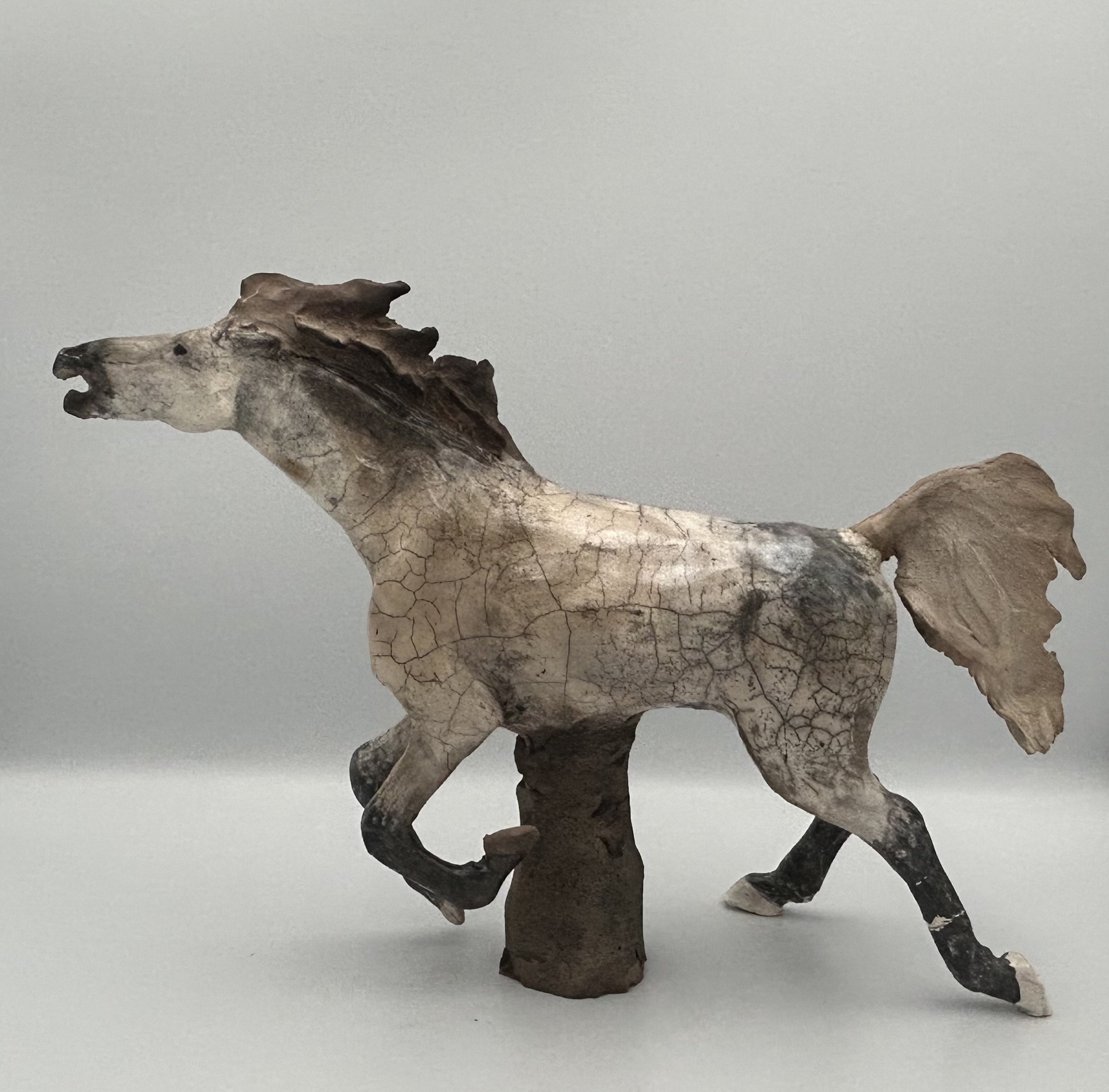 Morier_Meghan_Mustang_636812.2342811.jpg