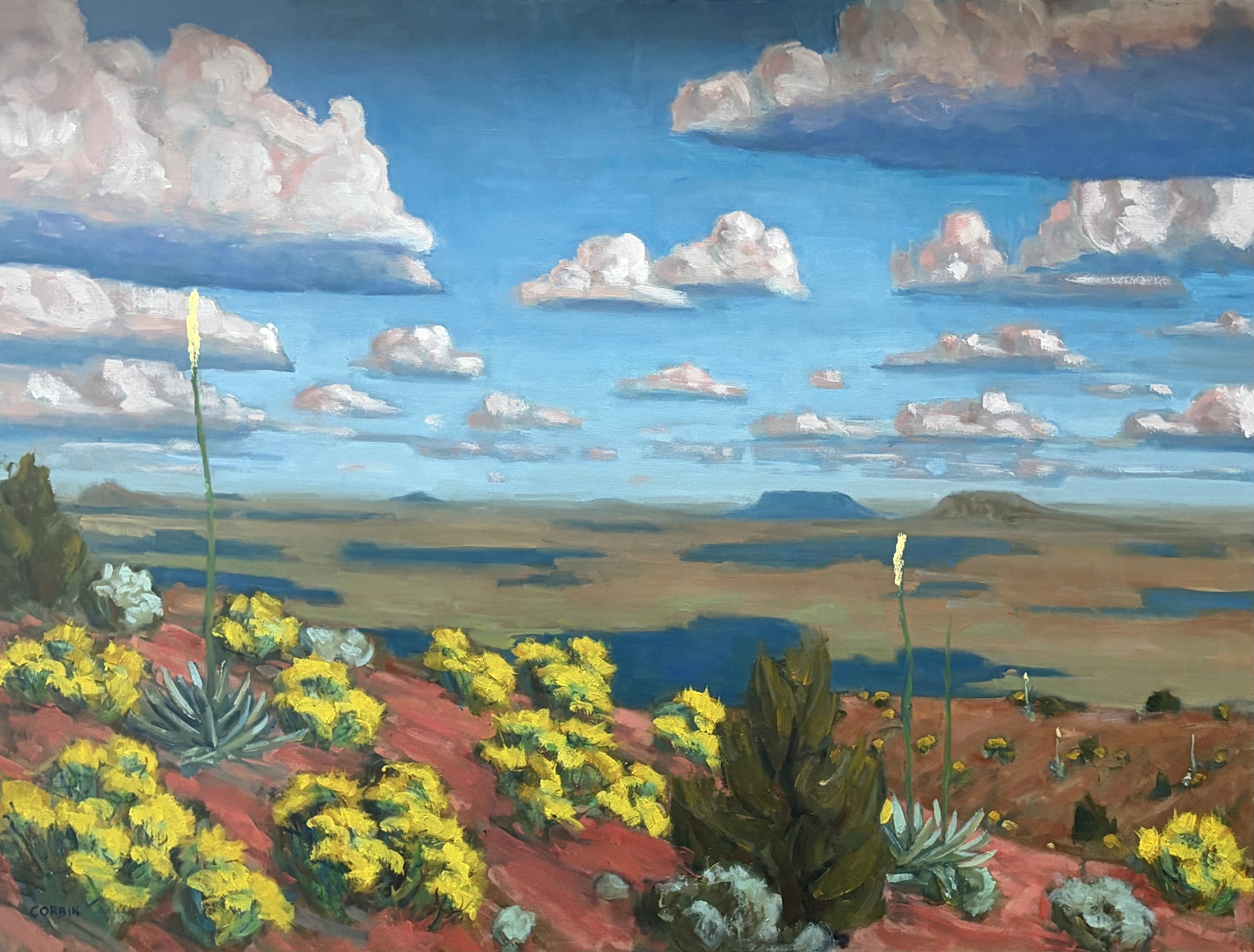 Corbin_Andrew_High Desert Skies_636749.2342440.jpg
