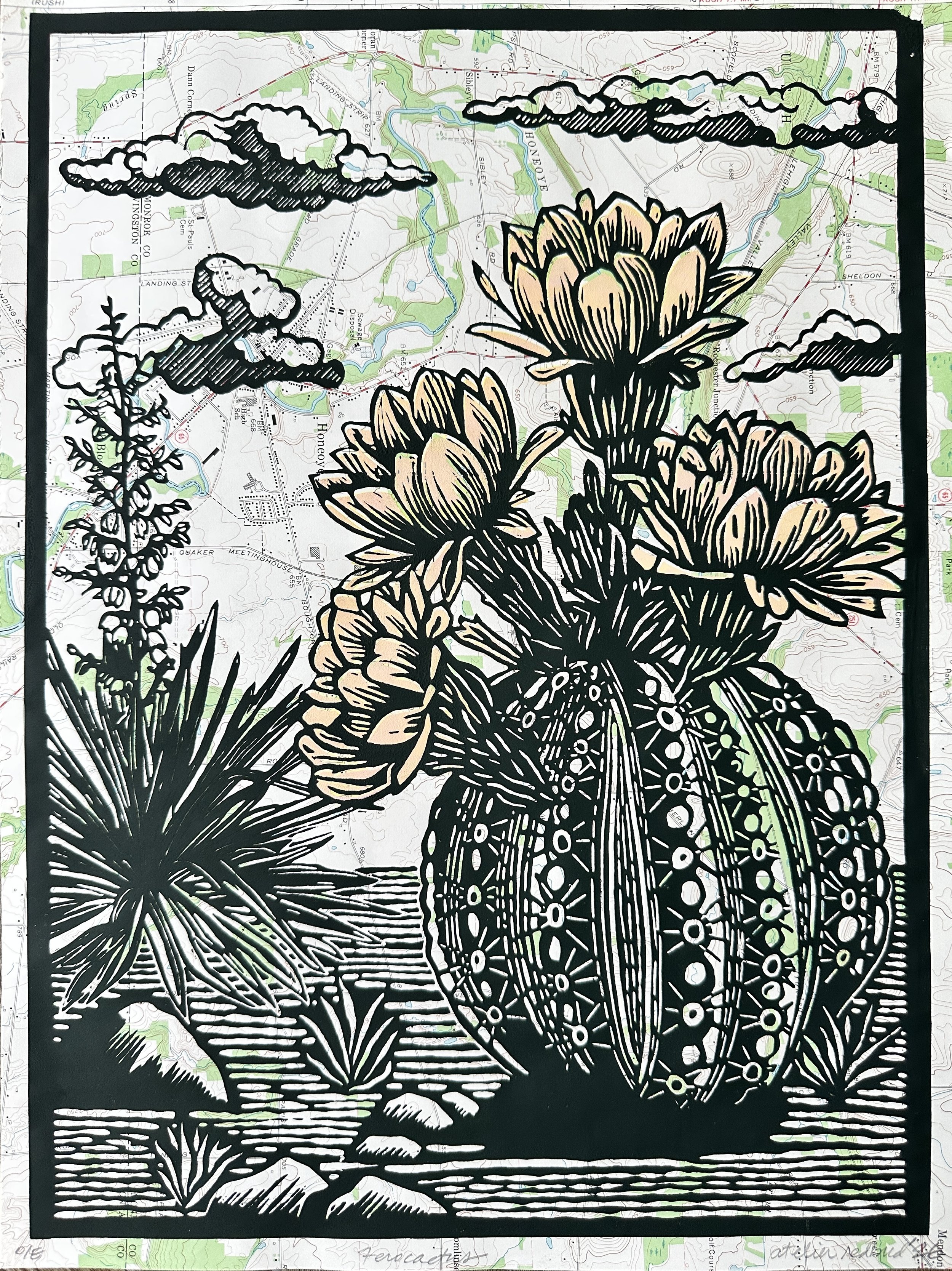Beyt_Juliee_Ferocactus _633540.2333229.jpg