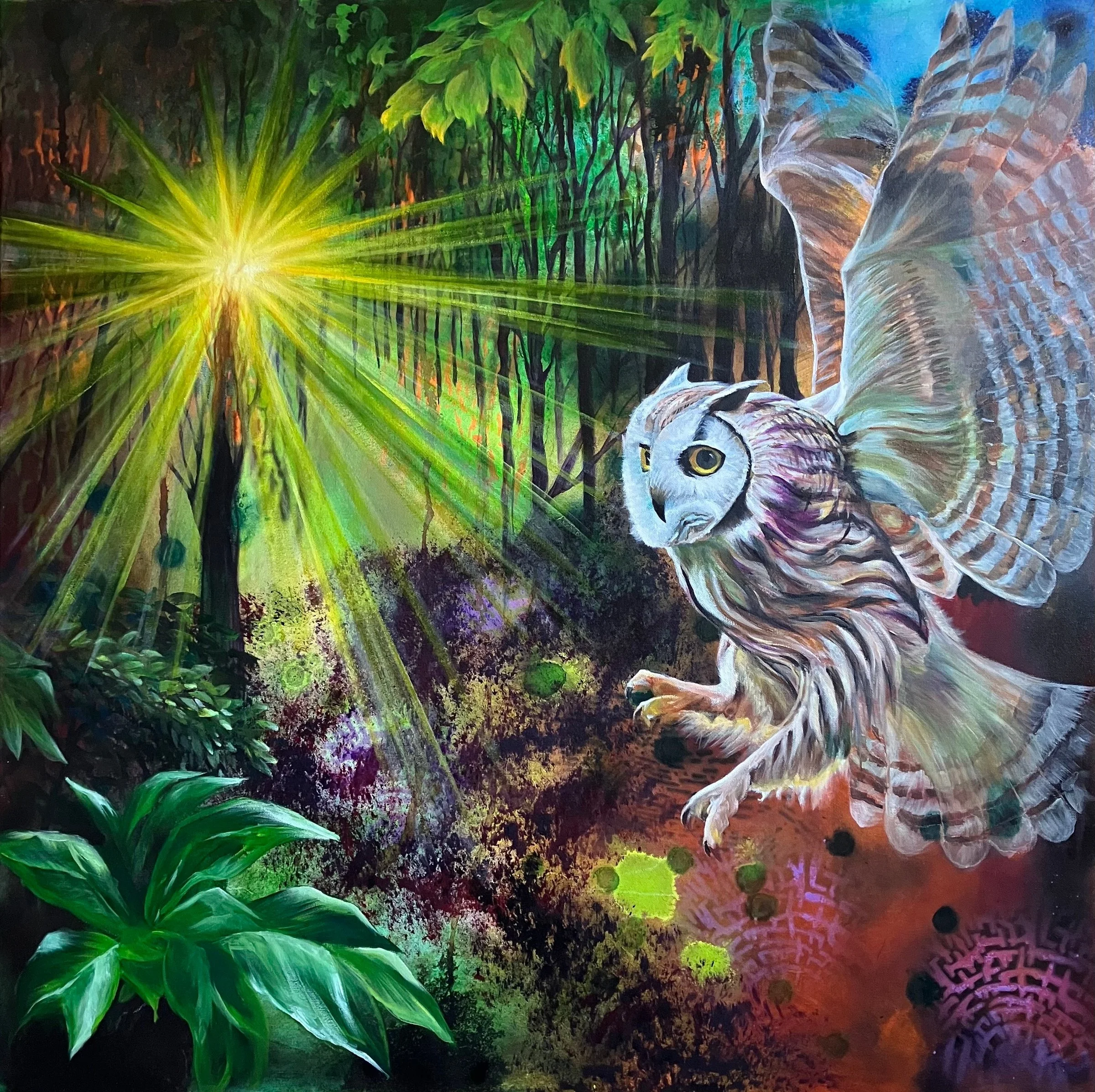 Baldwin_David_Alight In The Forest_636108.2340513.jpg