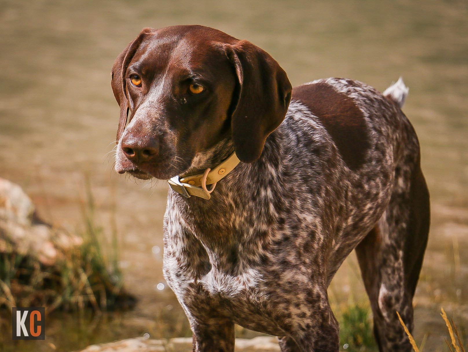 KCDesign-BountifulOverlanding-40 2.JPG