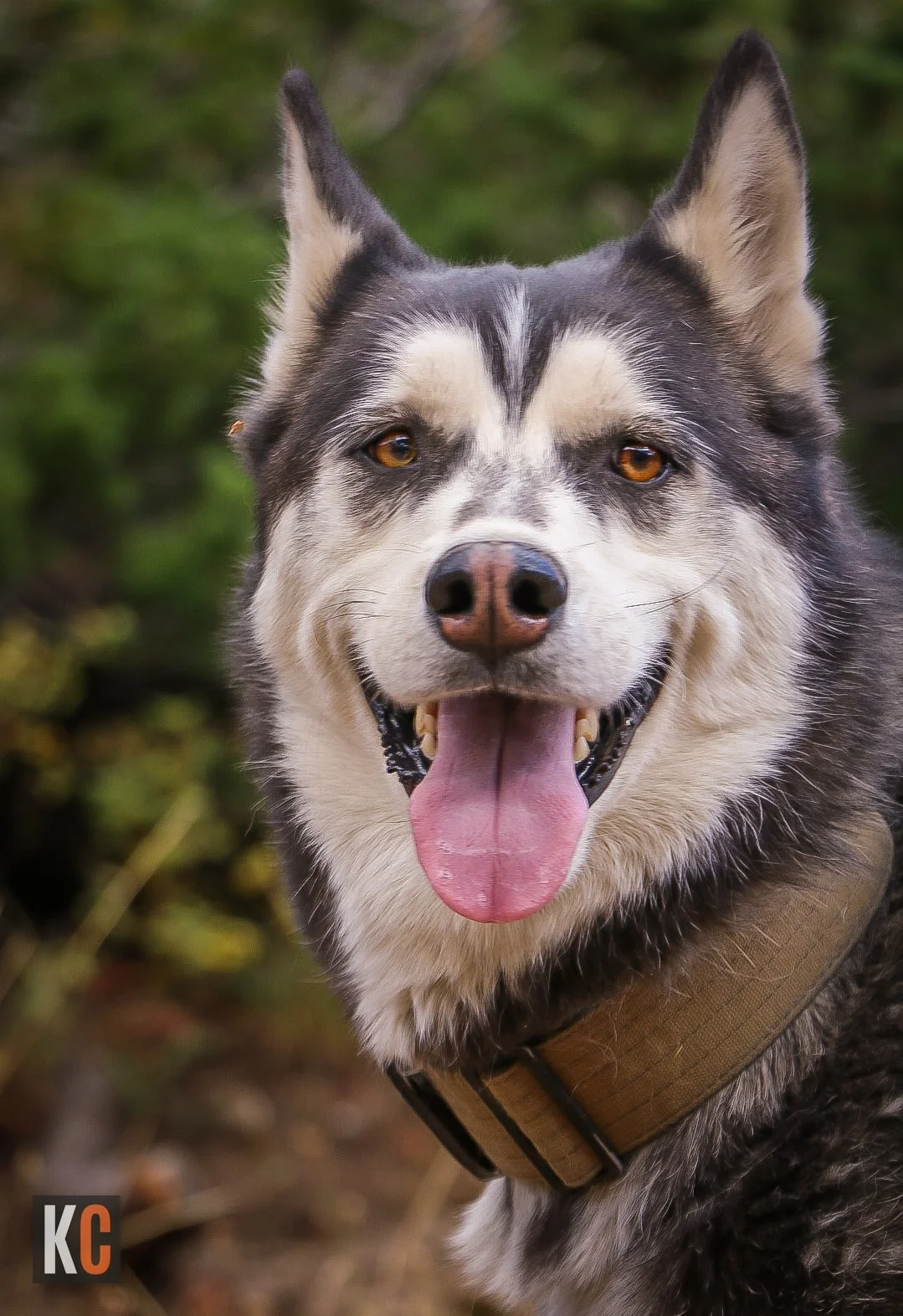 KCDesign-BountifulOverlanding-52 2.JPG