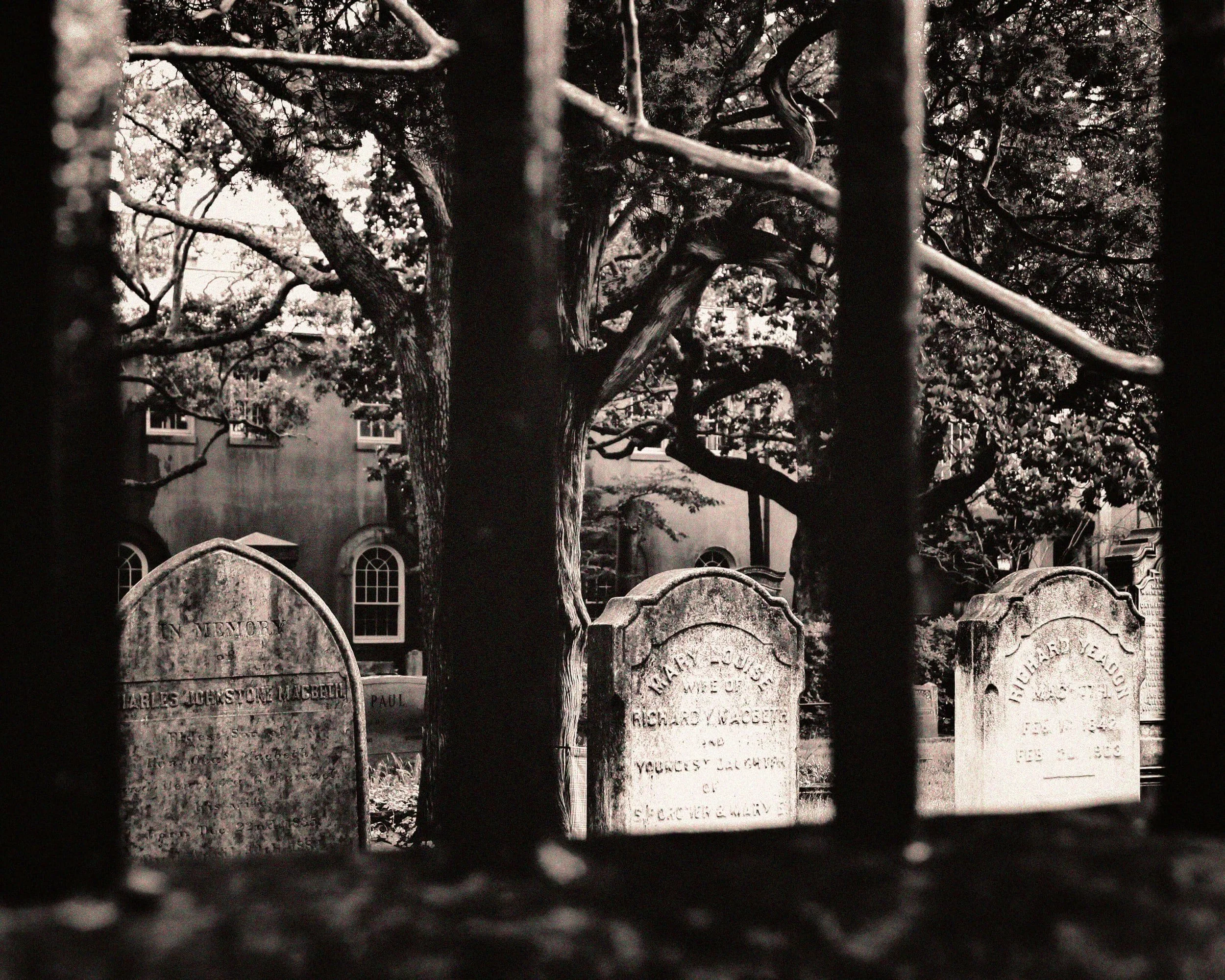 “We Are Seven” by William Wordsworth