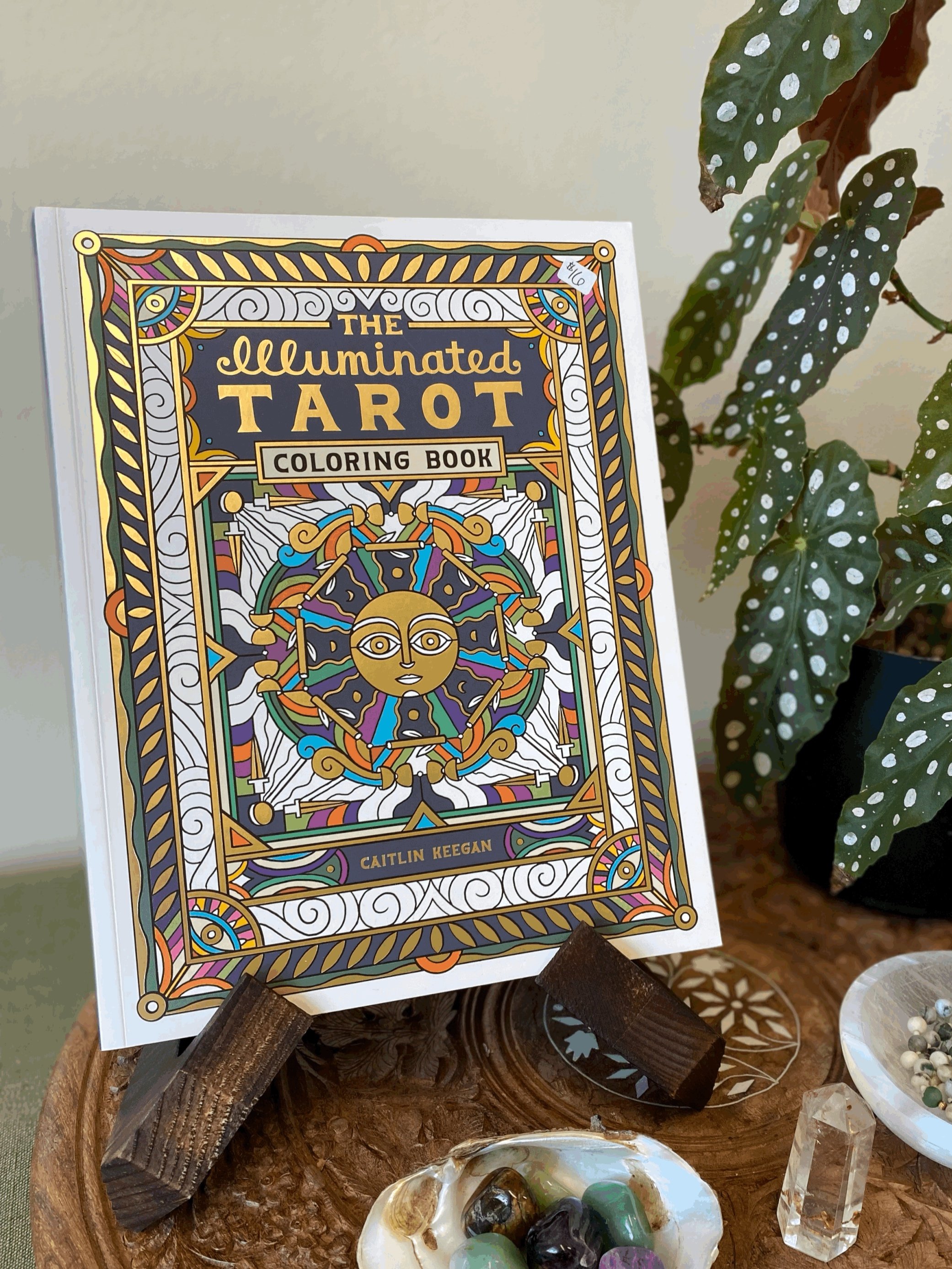 The Illuminated Tarot Coloring Book