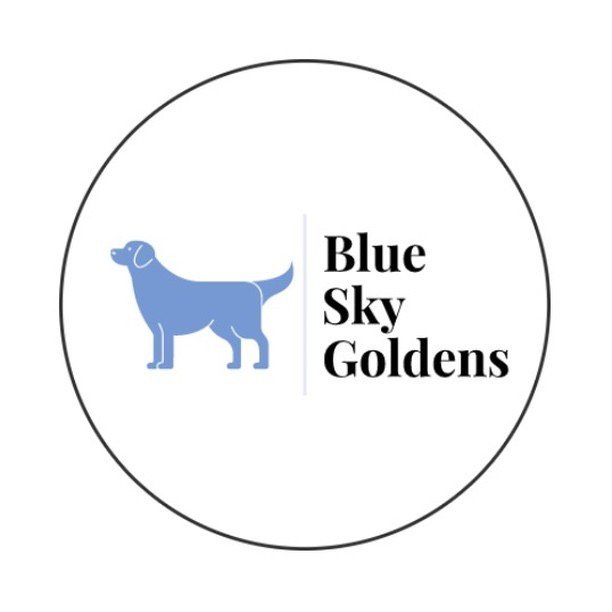 Blue Sky Goldens