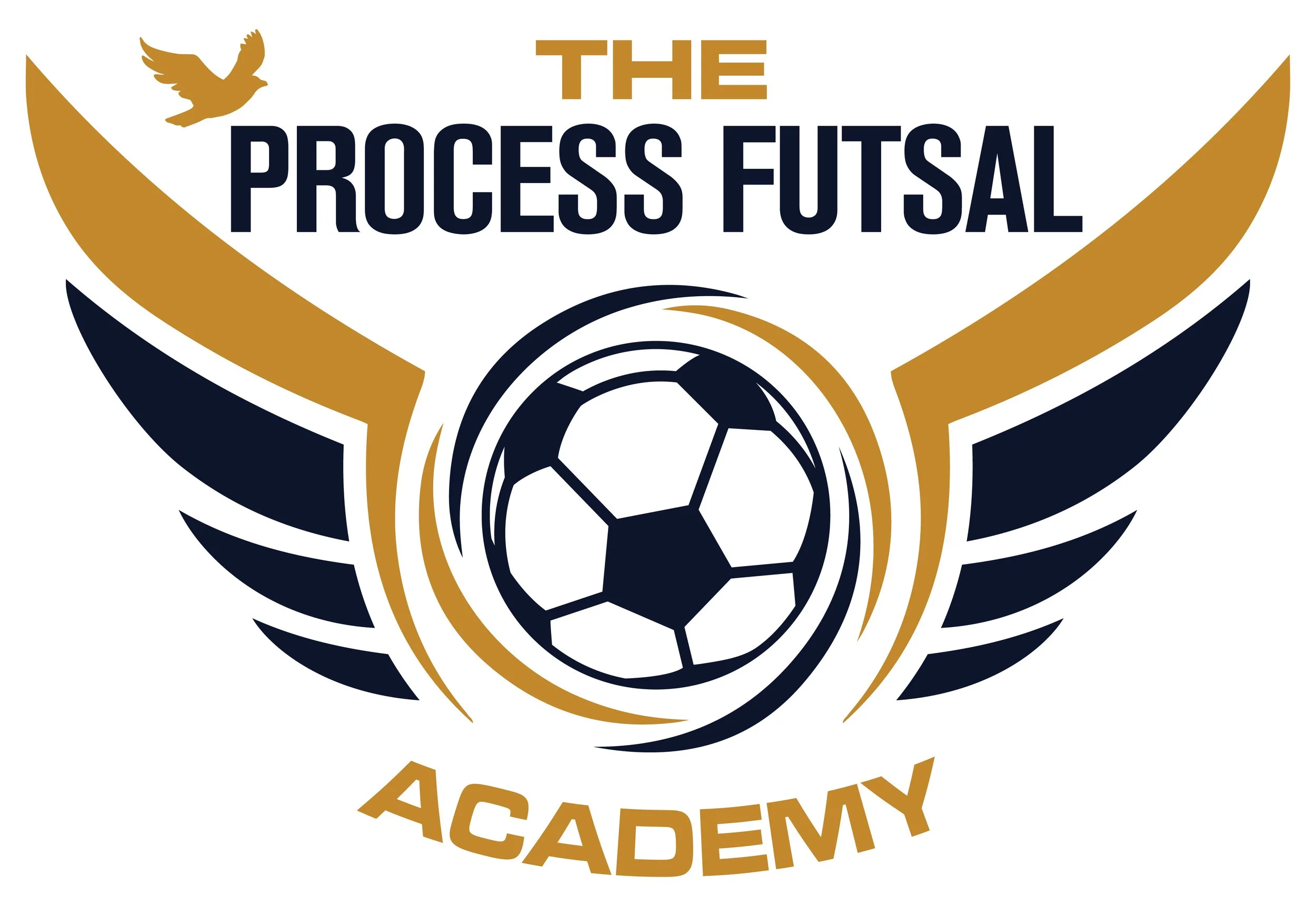 Futsal Academy Logo 2.jpg