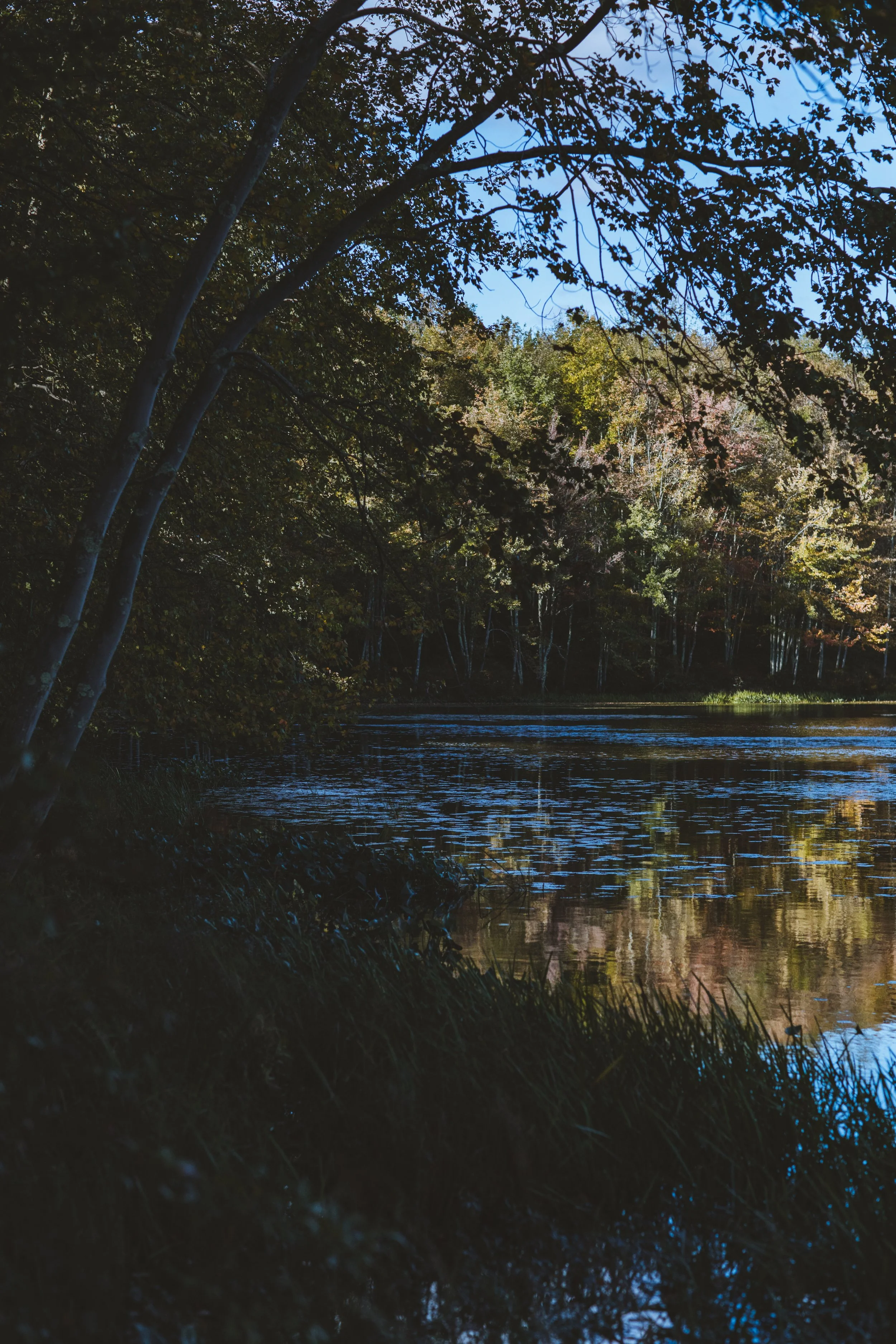 Future — Horseshoe Lake