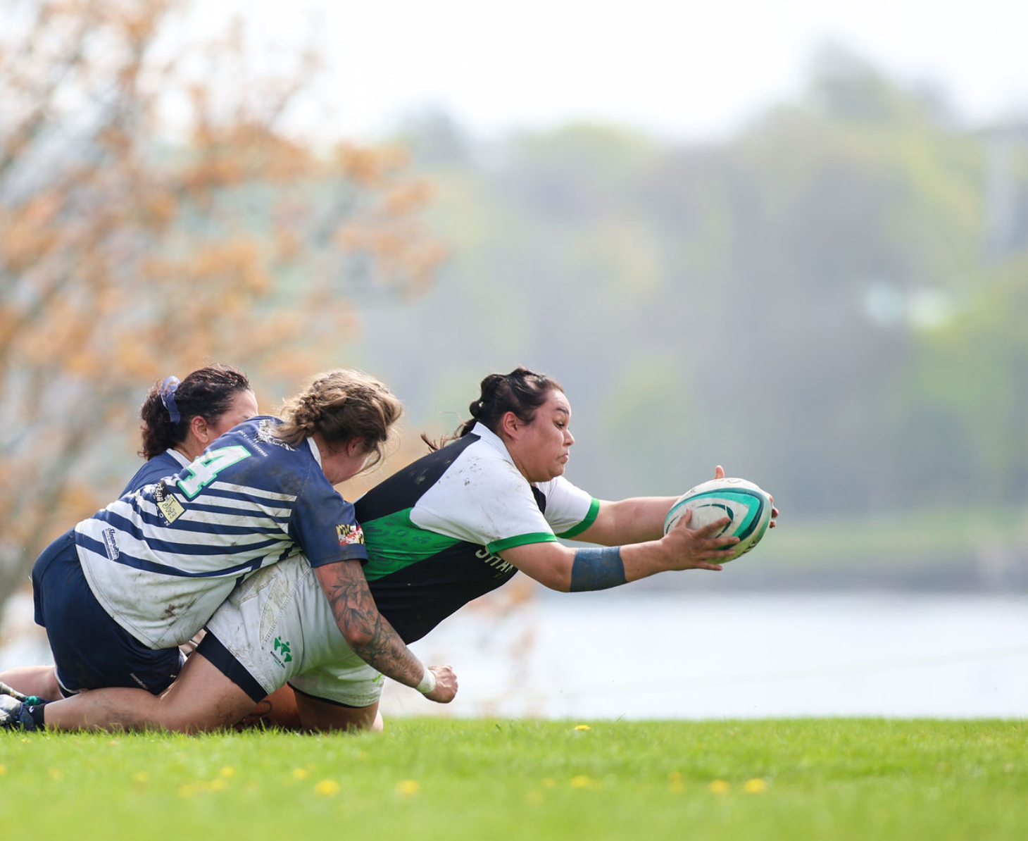 Screen Shot 2025-08-23 at 11.51.58 AM.png