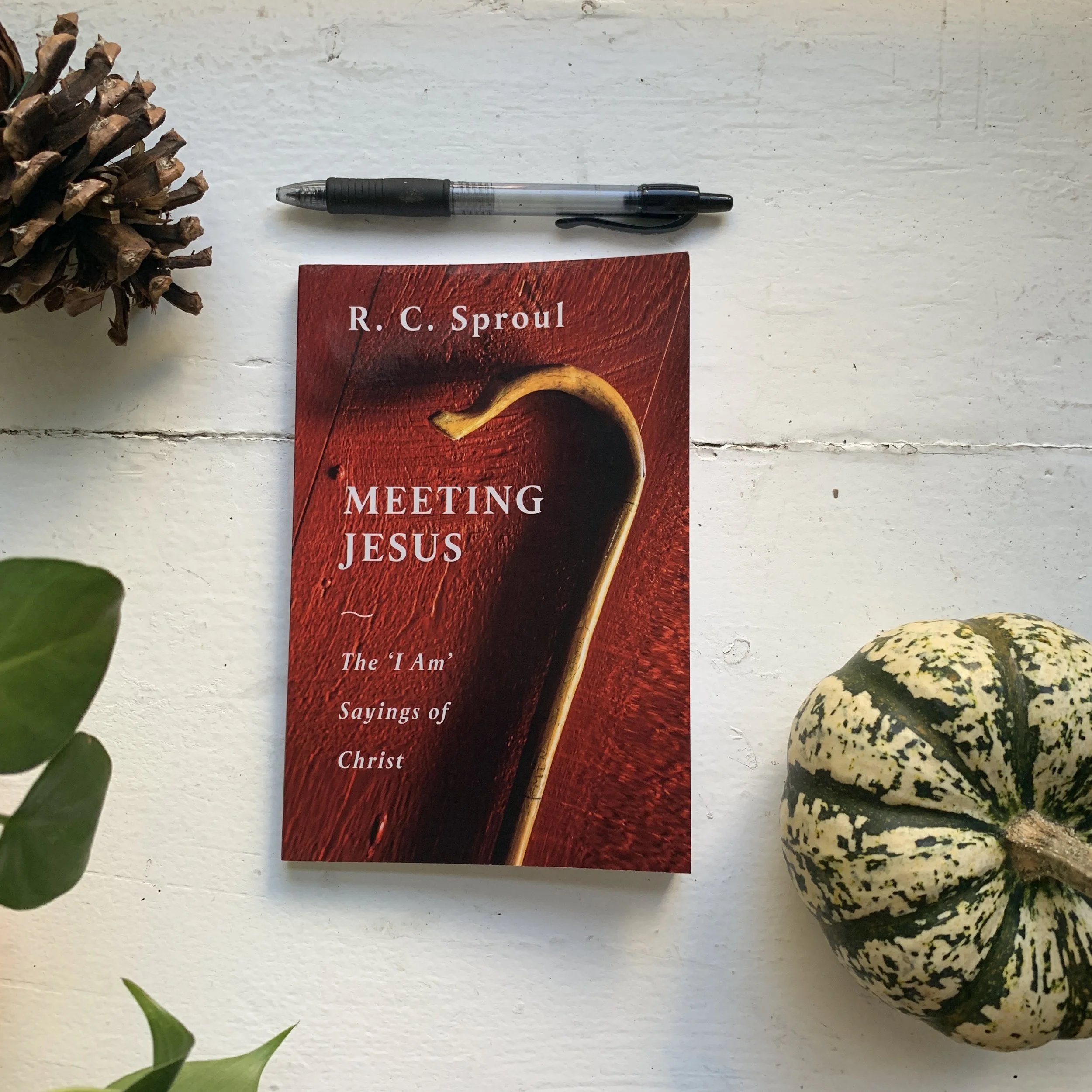 Learning from the "I Am" Sayings of Christ - Meeting Jesus by R.C. Sproul Book Review