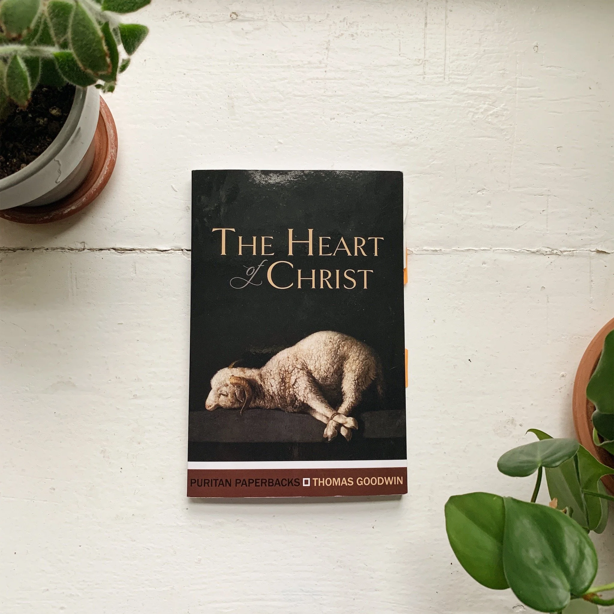 Understanding the Gentle &amp;amp; Lowly One - The Heart of Christ by Thomas Goodwin Book Review