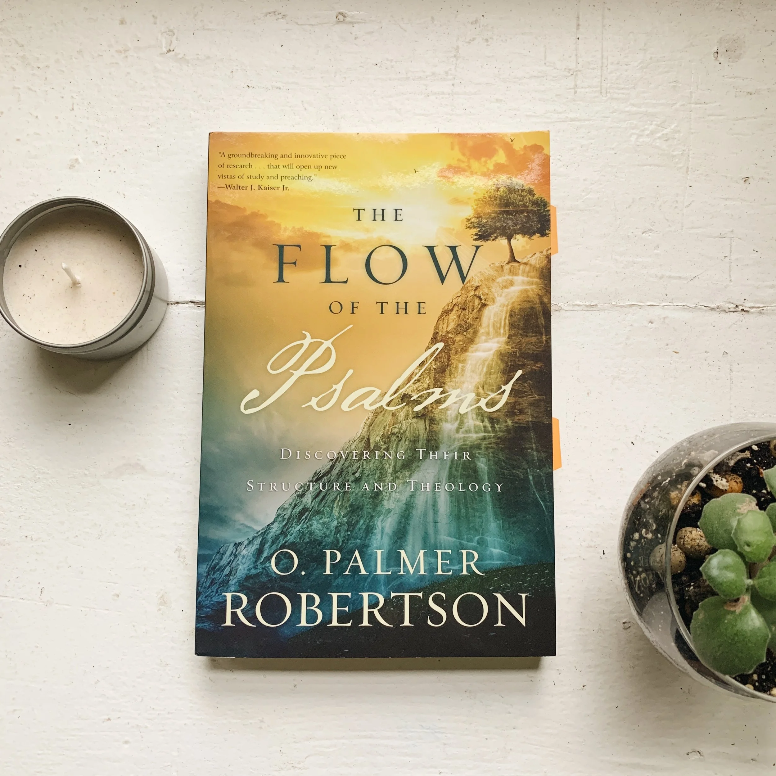 Understanding the Songs of Jesus Better - The Flow of the Psalms by O Palmer Robertson Book Review