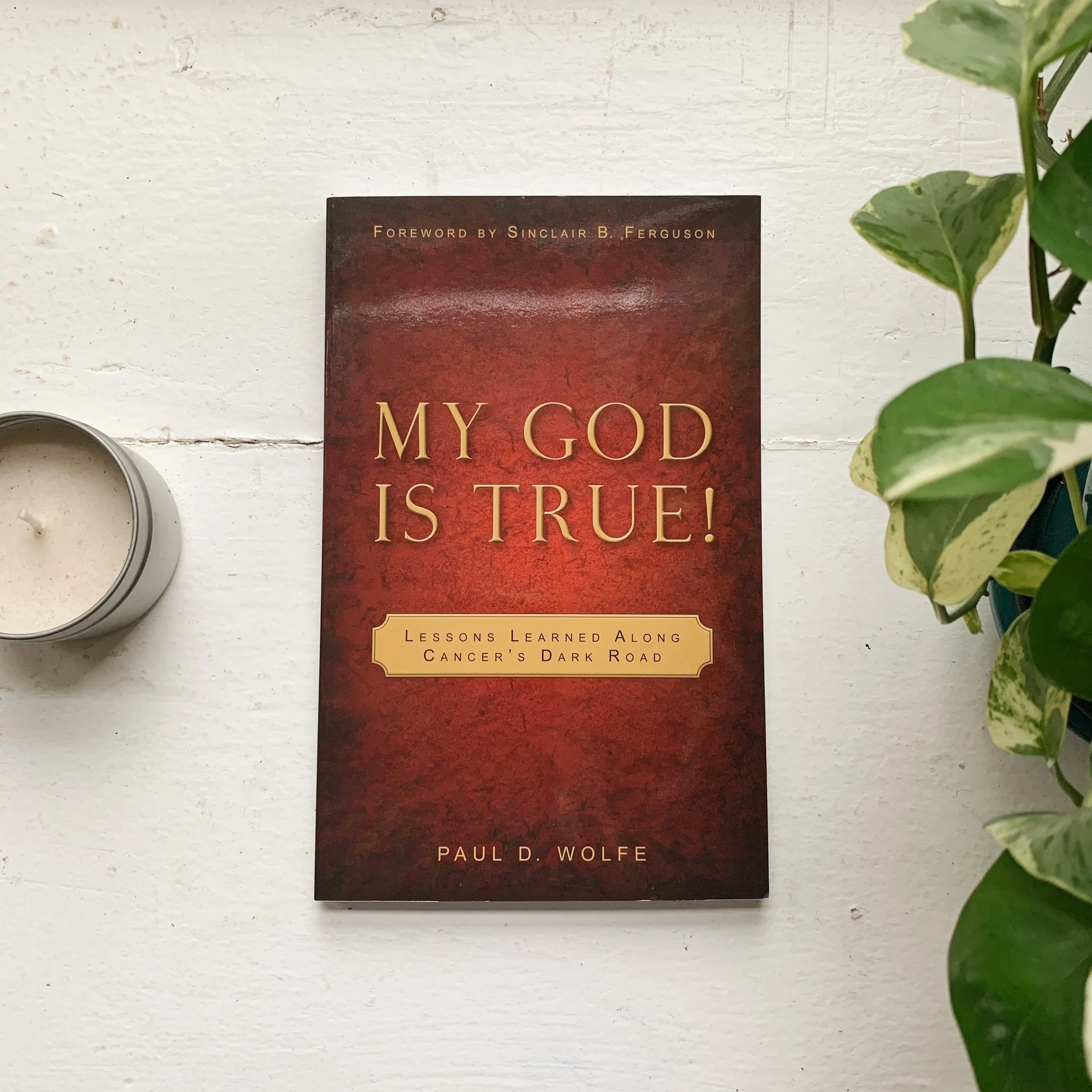 My God is True! Lessons Learned Along Cancer’s Dark Road by Paul Wolfe Book Review