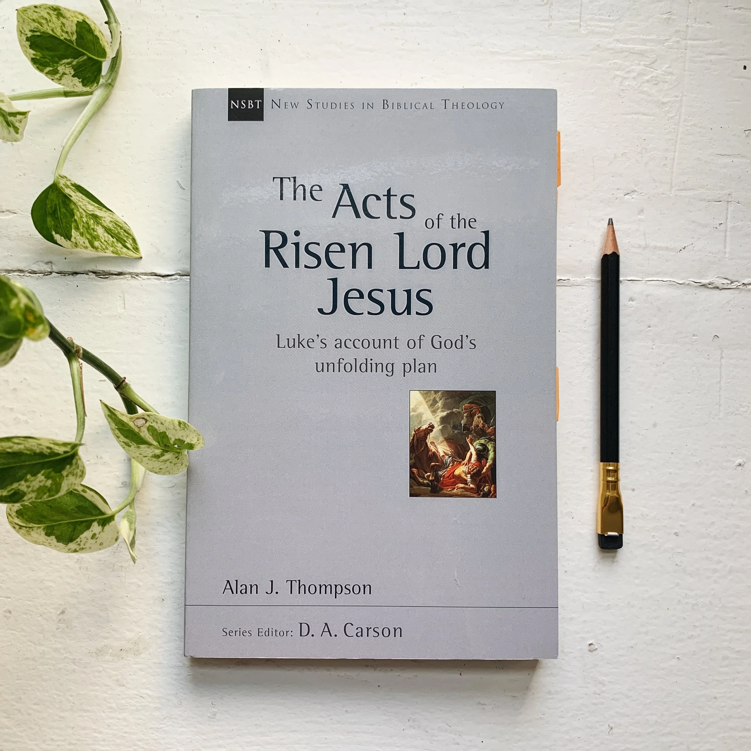 Acts of the Risen Lord Jesus by Alan Thompson - Book Review (New Studies in Biblical Theology)