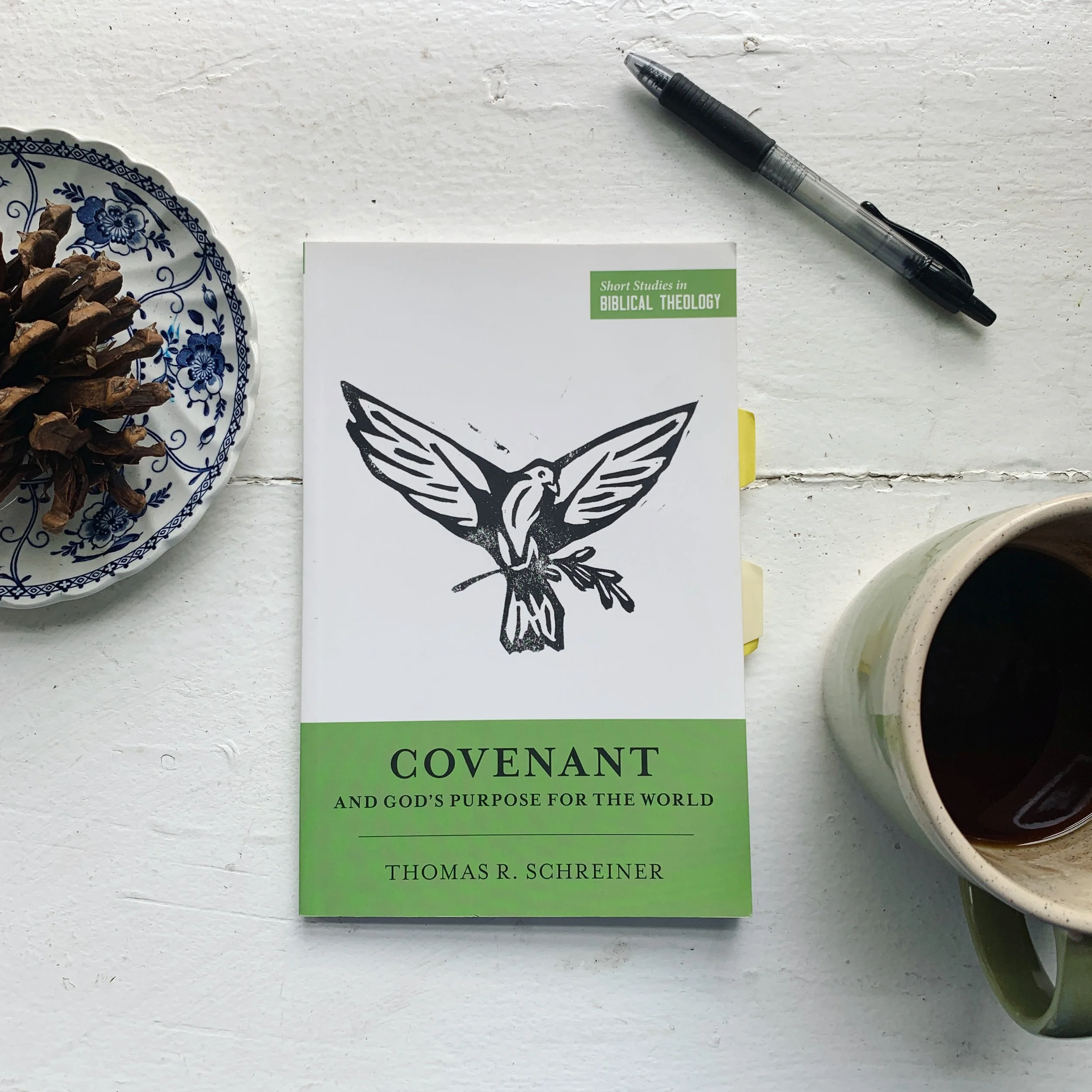 A Biblical Theology of Covenants - Covenant and God's Purpose for the World by Thomas Schreiner Book Review
