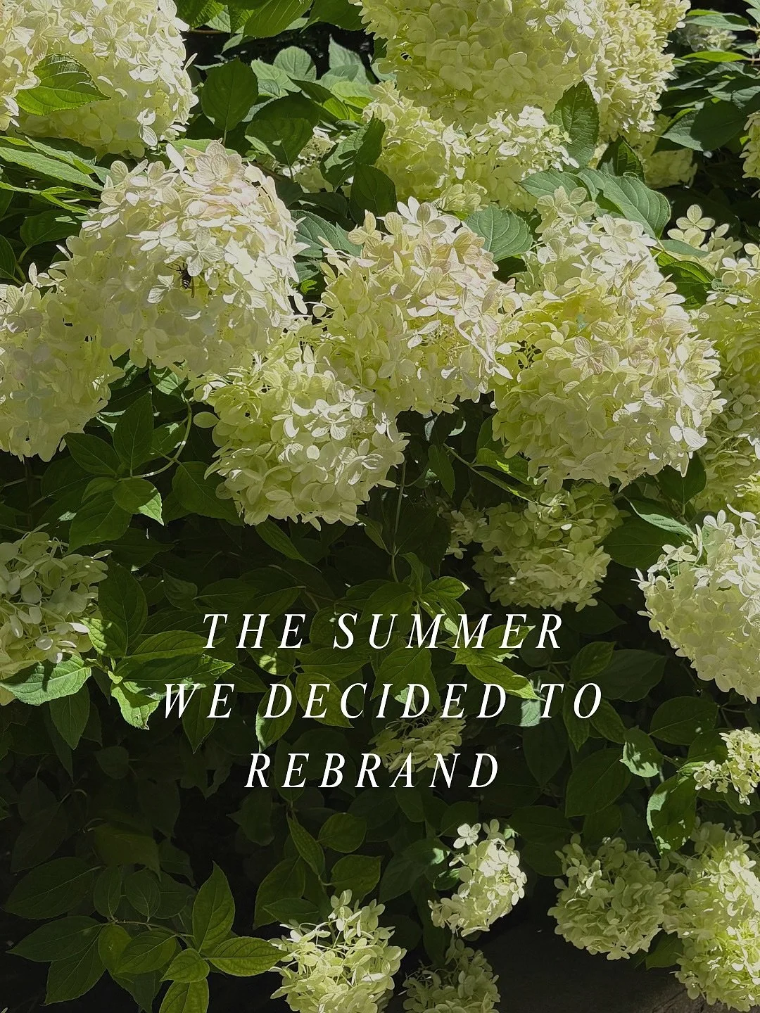 In honour of episode 10 🫶🏼