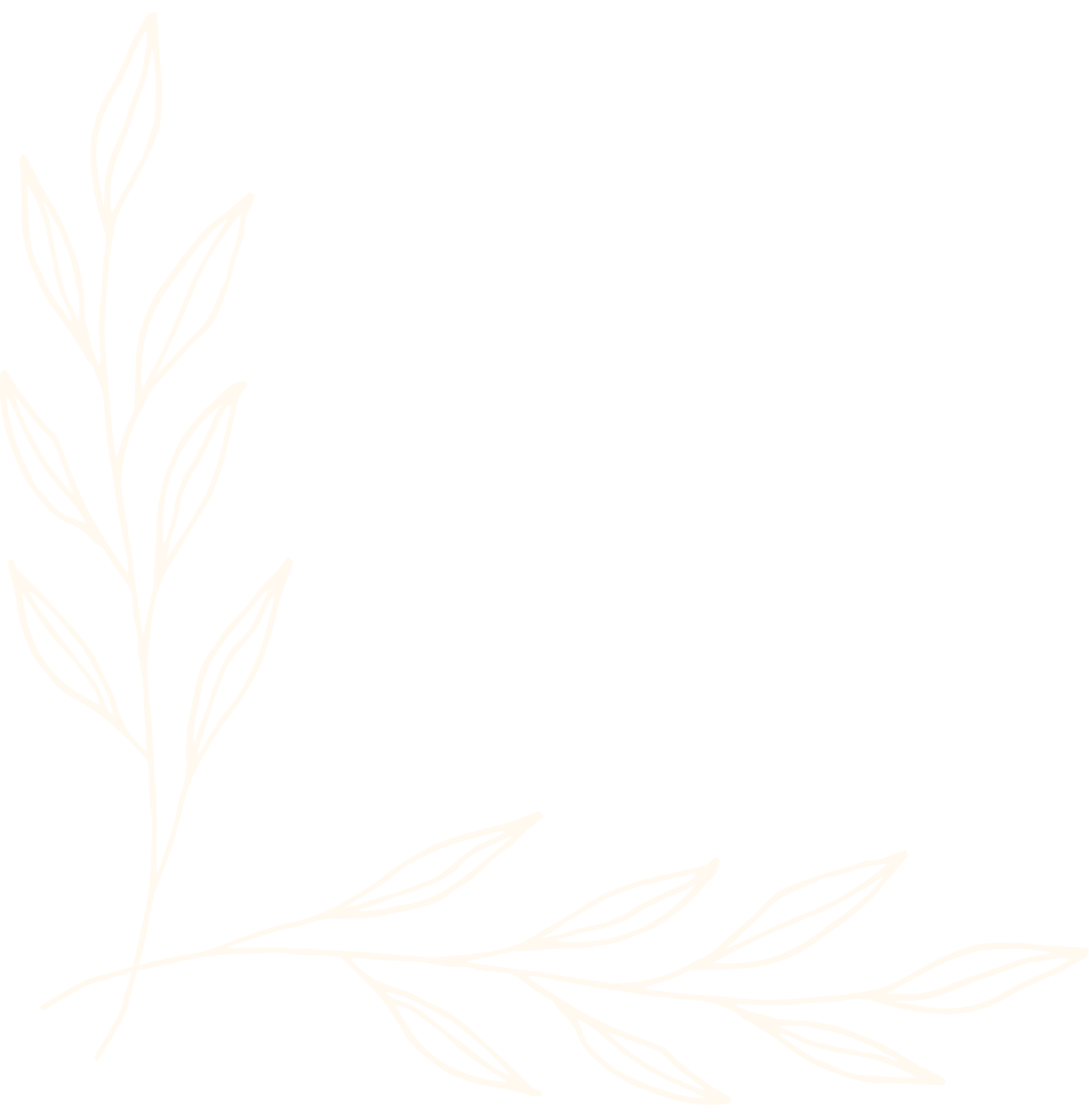 White outline of leaves and branches on a black background.