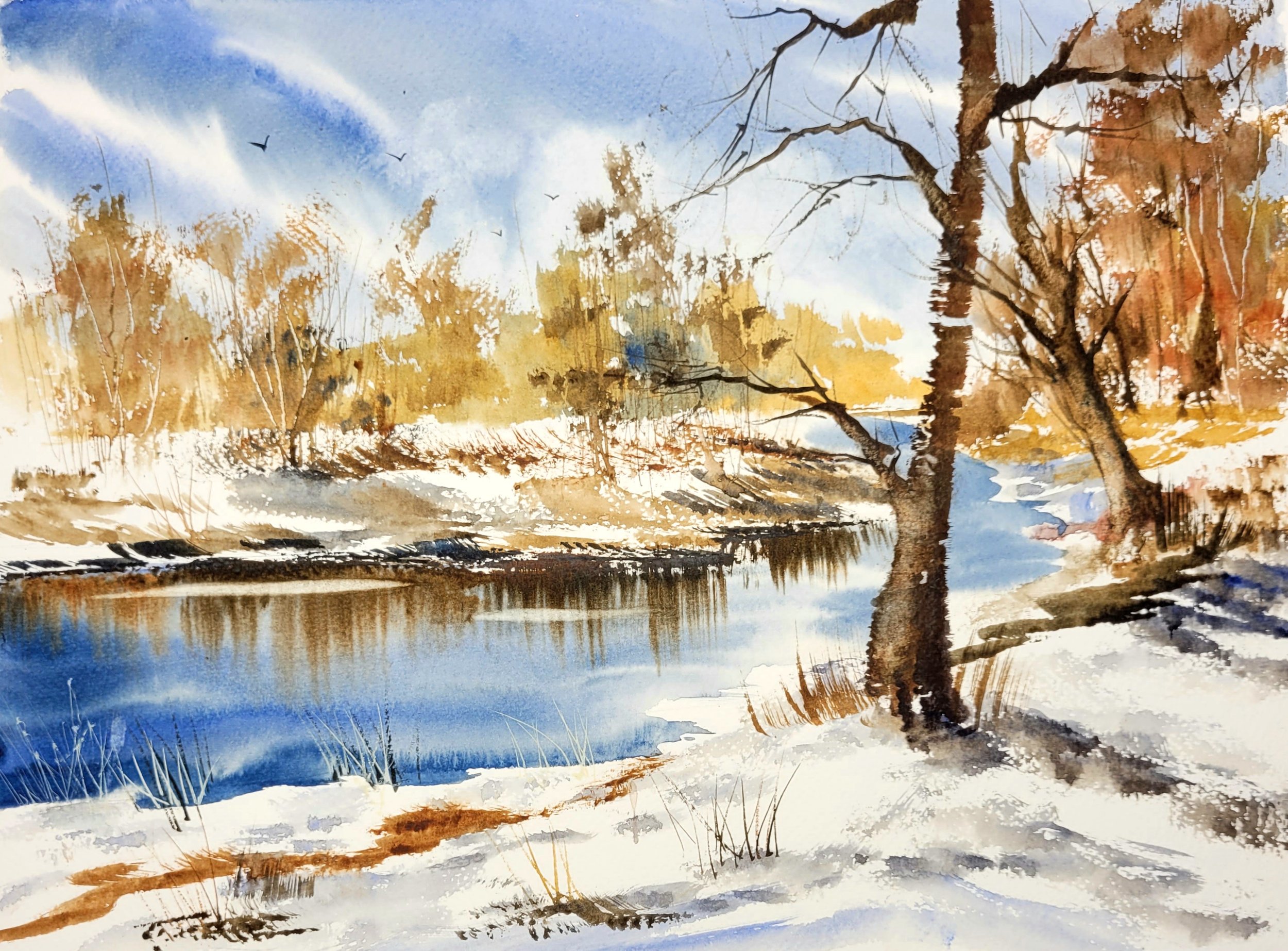 Snow by the Lake