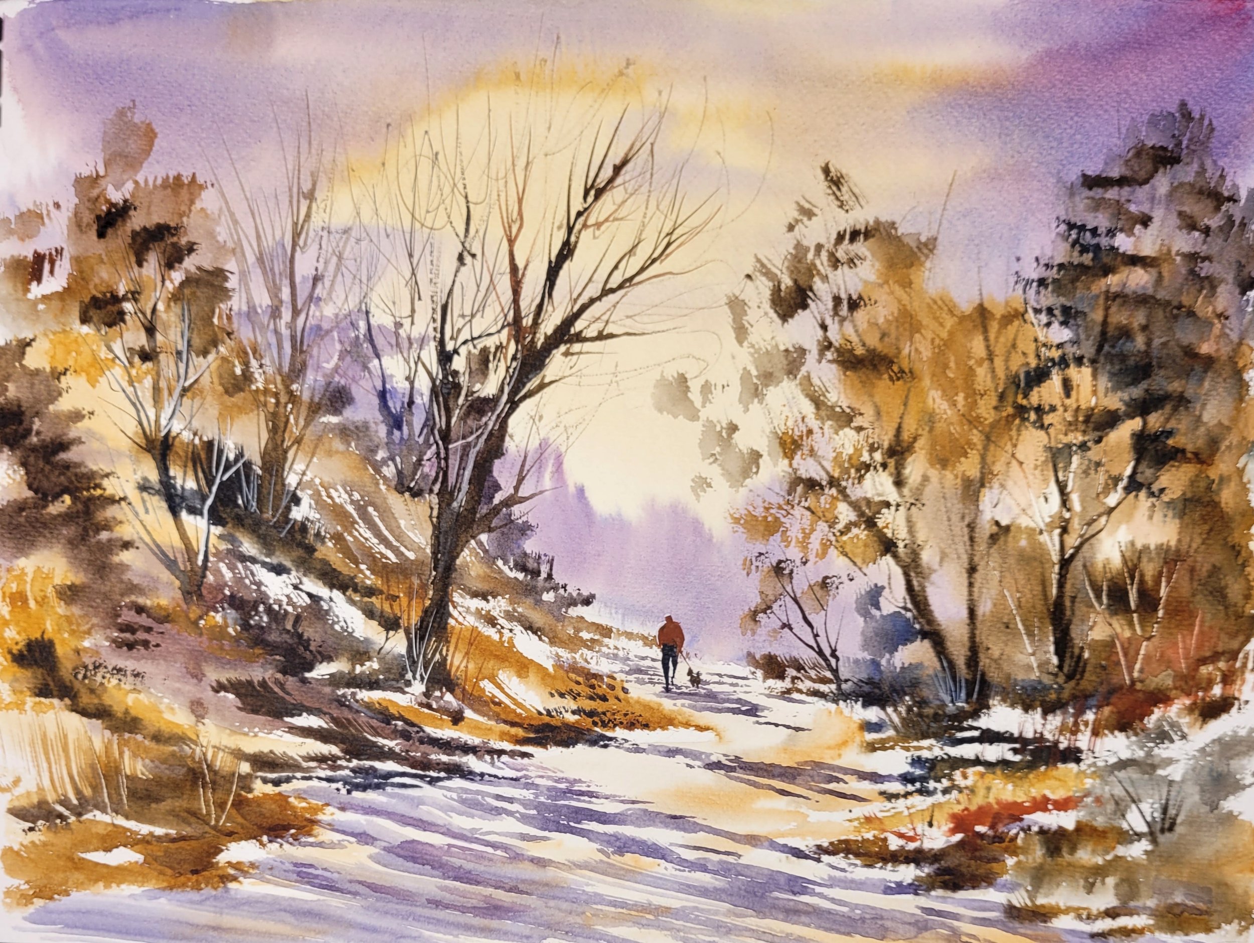 Fall Colors