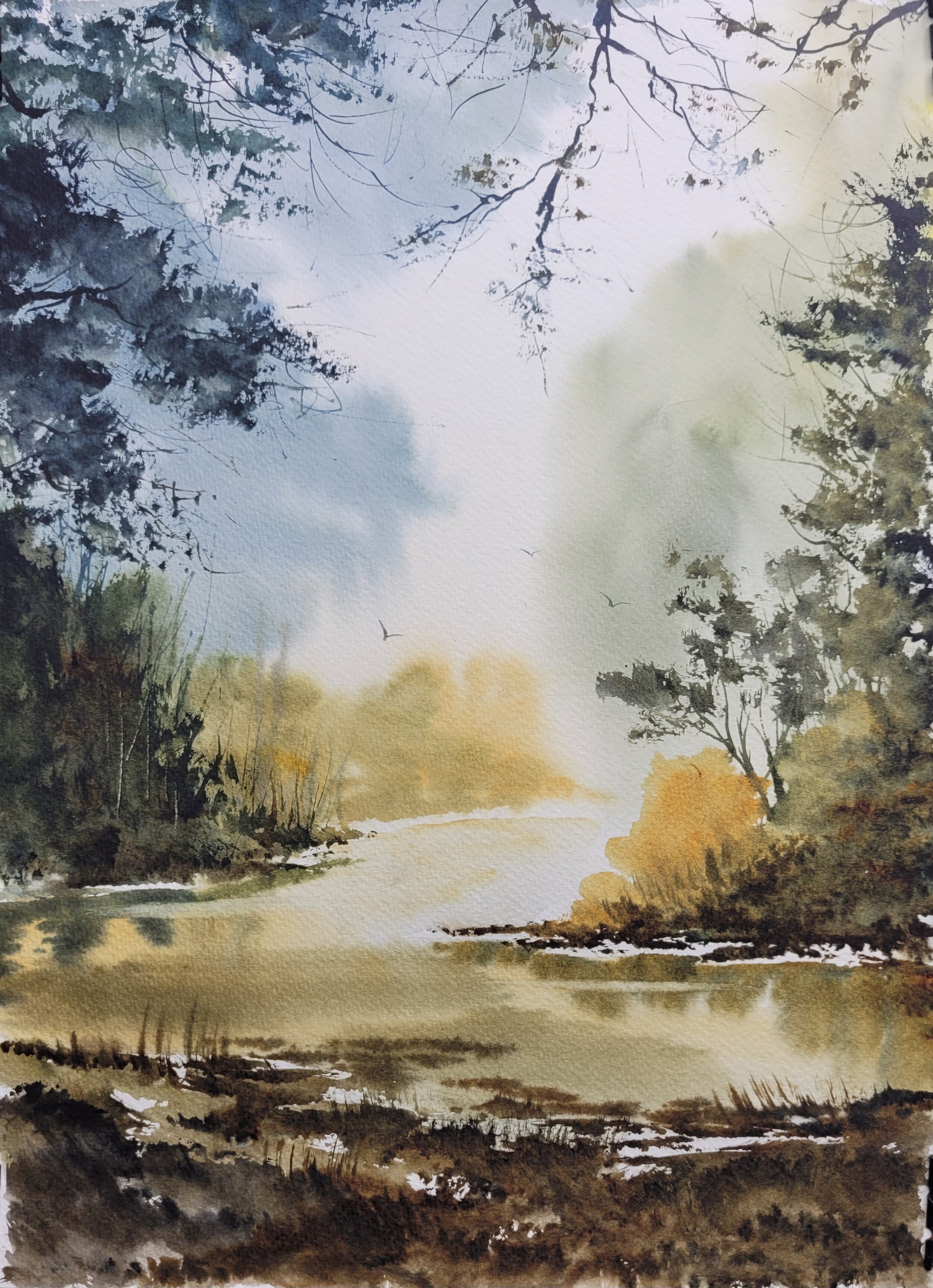 11x15 in. Misty Reflections