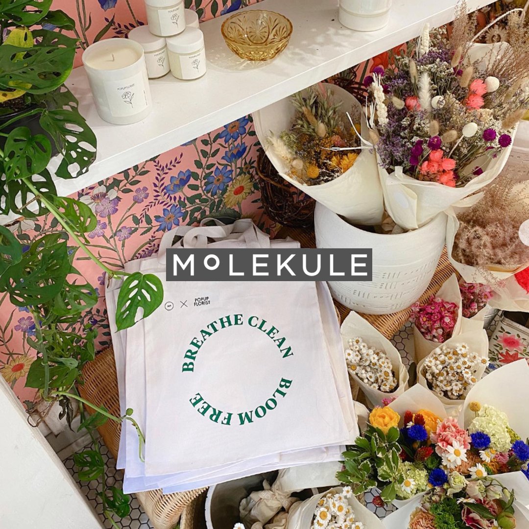 Molekule x Pop-Up Florist