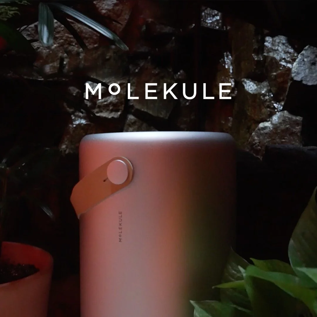 Molekule x House of Horrors