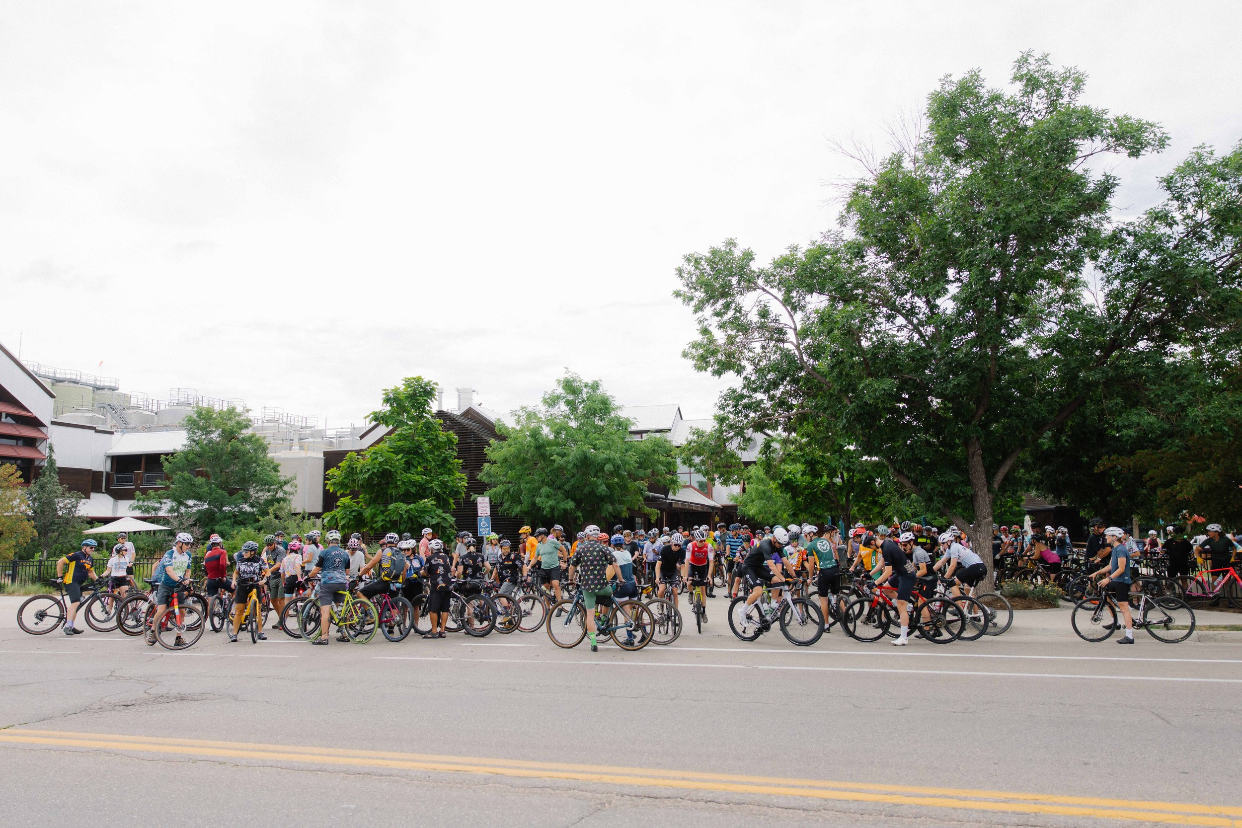 FoCo.Shakeout.25-41 (1).jpg