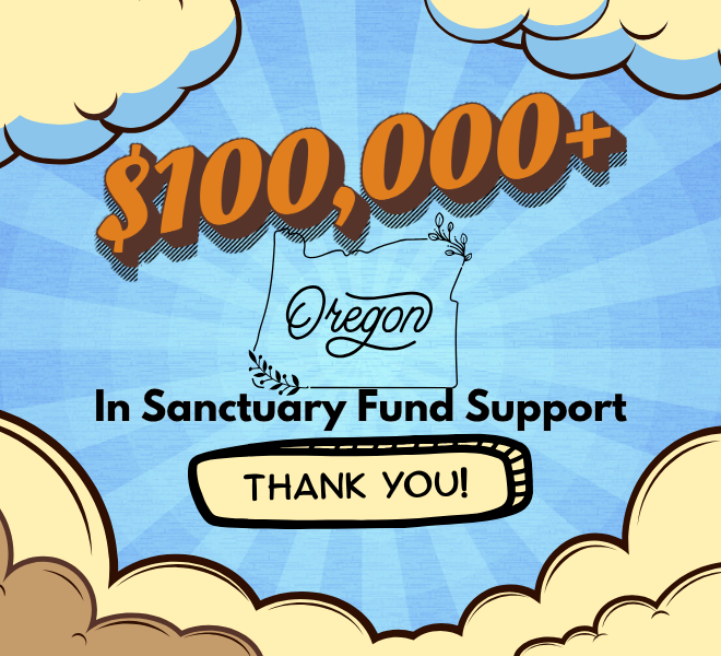 The Sanctuary Fund:Building a Safe Haven, Together