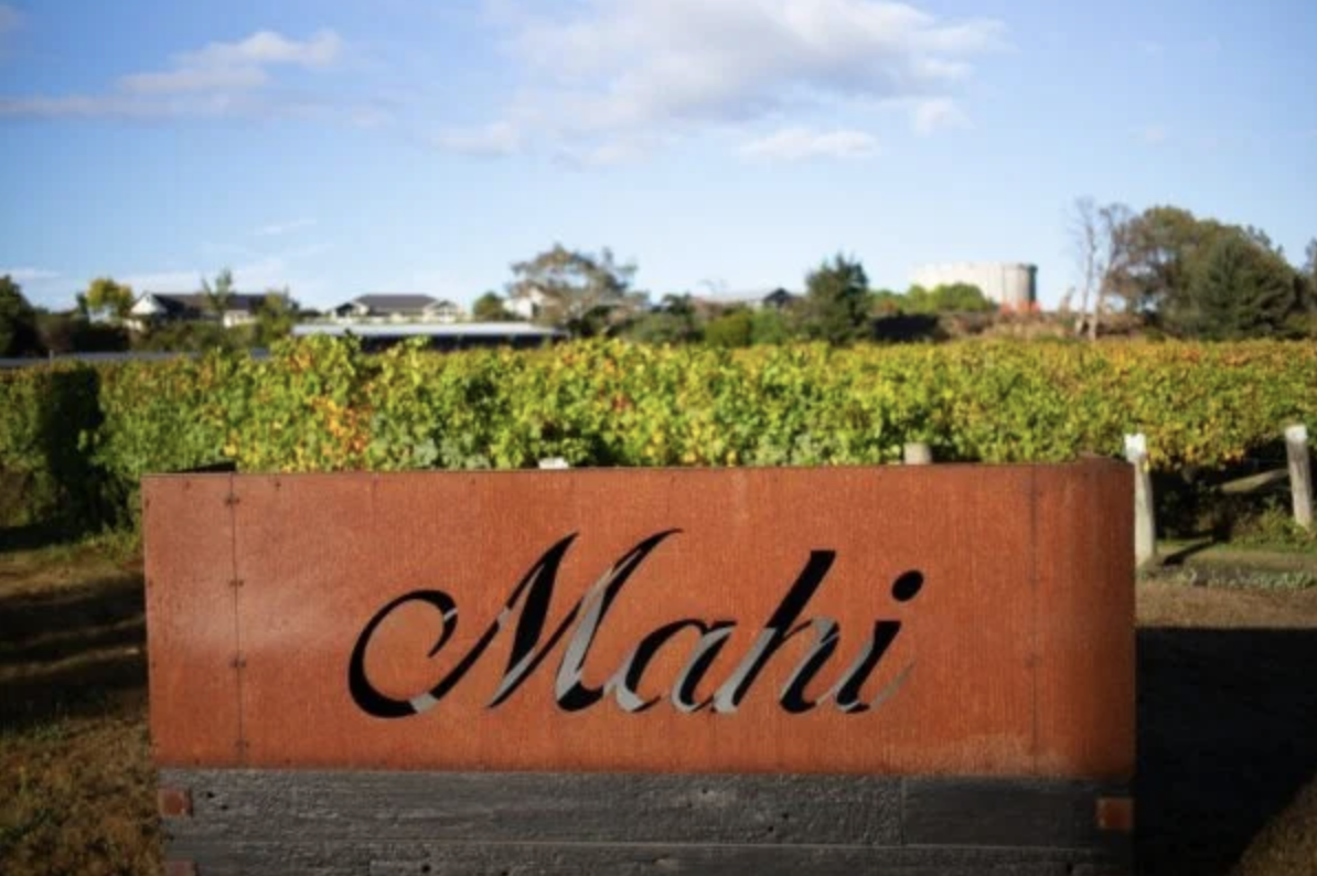 Vine Vitality - a Refreshing Vineyard Journey